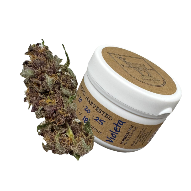 A cannabis bud next to a jar labeled 'Violeta' with harvest and cultivation information.