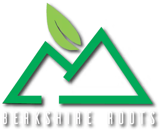 A logo with stylized green mountain peaks and two green leaves above the peaks, with the text 'BERKSHIRE ROOTS' underneath.