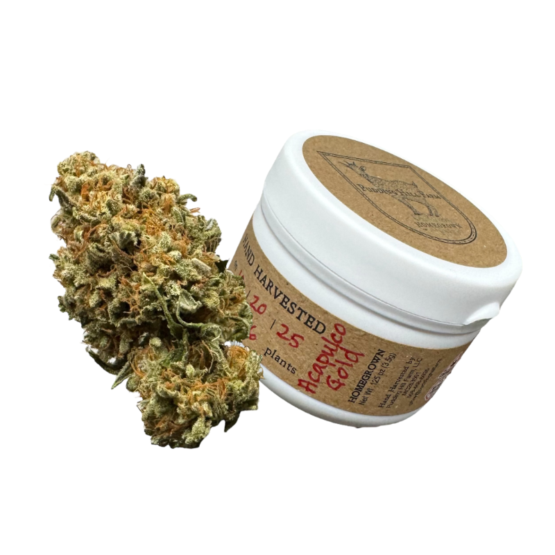 A cannabis flower next to a container of cannabis concentrate or wax with a label.
