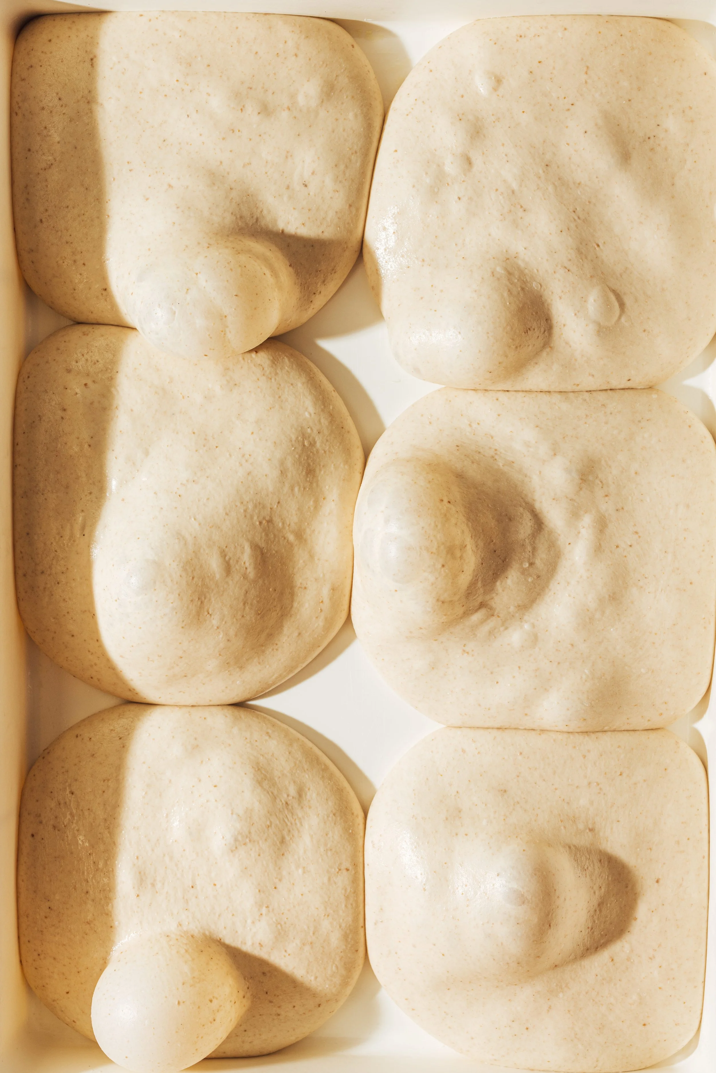 Shredders_Food_626_GS_Full-37.jpg