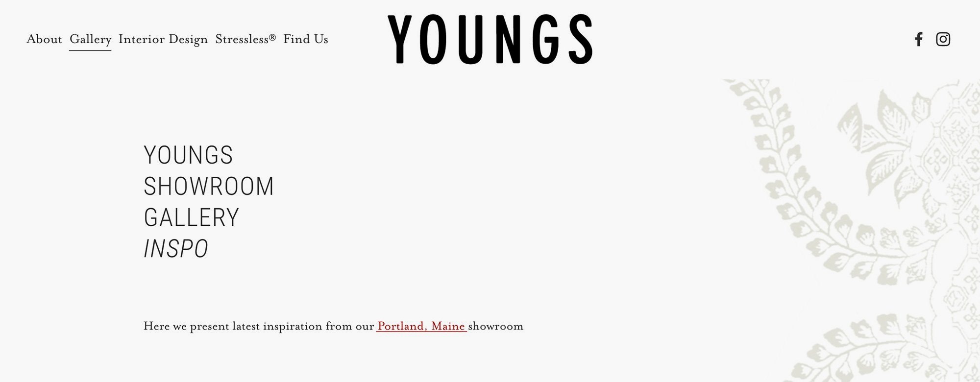 Youngs Furniture website banner design by Murphy Empire