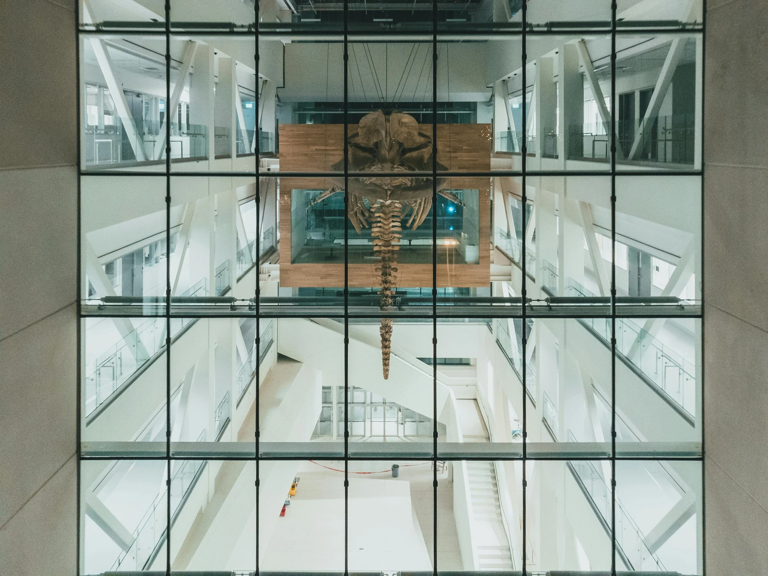 Identity Is Governance