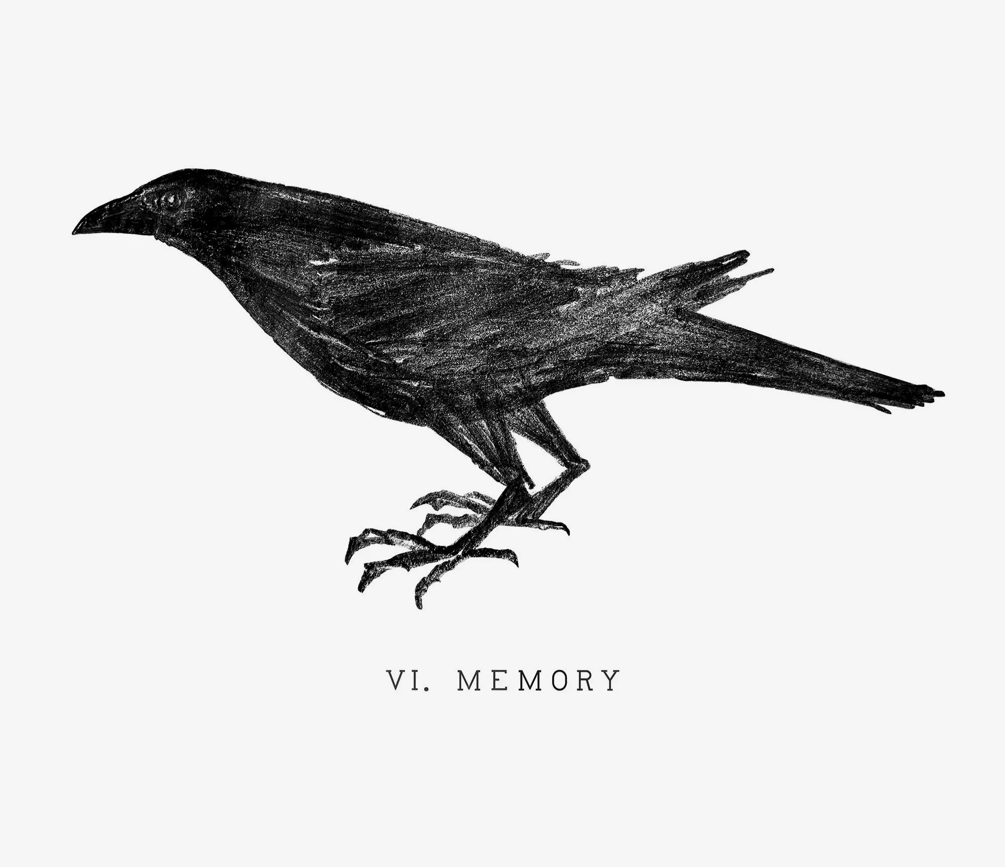 'IV Memory' raven illustration by Ken Murphy