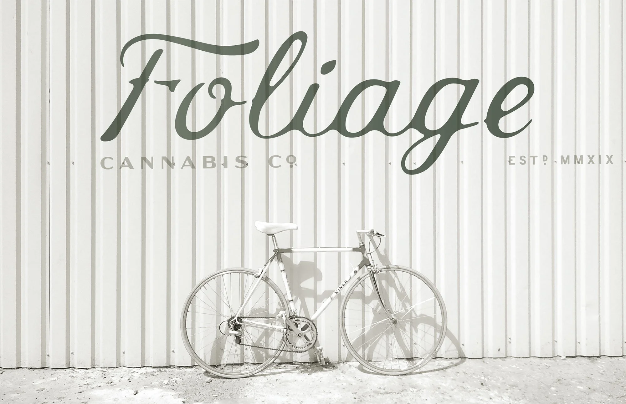 Print, web and social marketing visuals for Foliage Cannabis Co. by Murphy Empire studio