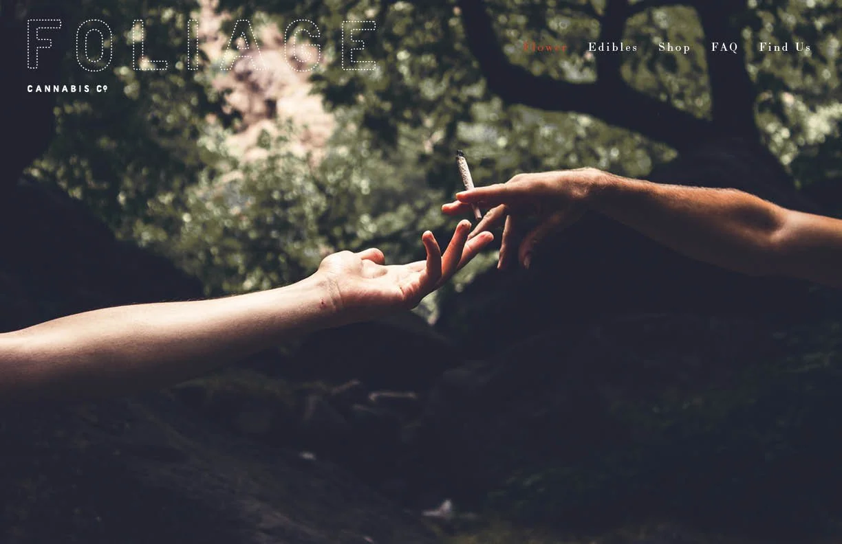 Web and social marketing visuals for Foliage Cannabis Co. by Murphy Empire studio