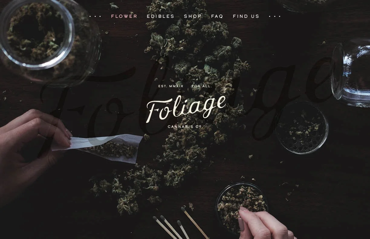 Handmade mark system and illustration for Foliage Cannabis Co. branding by Murphy Empire Branding & Design