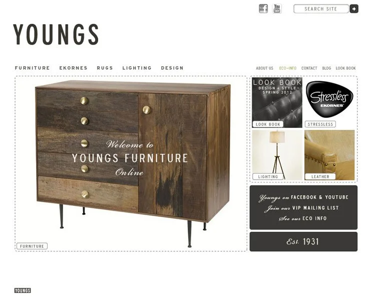 Youngs Furniture website design and social media design by Murphy Empire