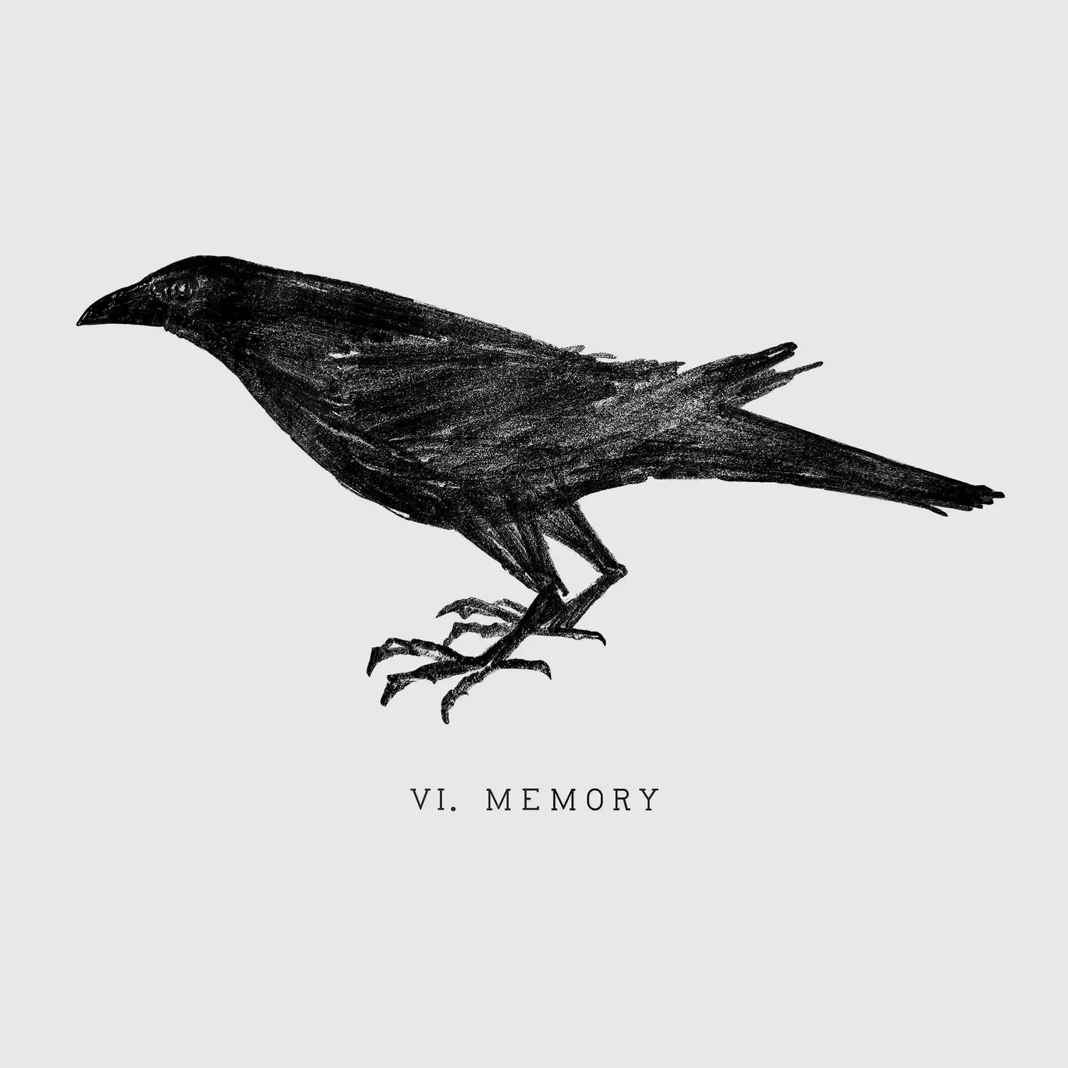 'VI. Memory' Crow Illustration, graphite, 2021 by Ken Murphy