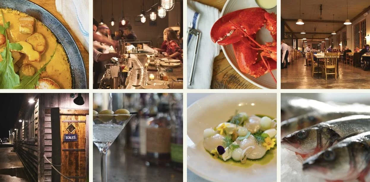 Branding Case Study Scales Restaurant — Murphy Empire Branding and