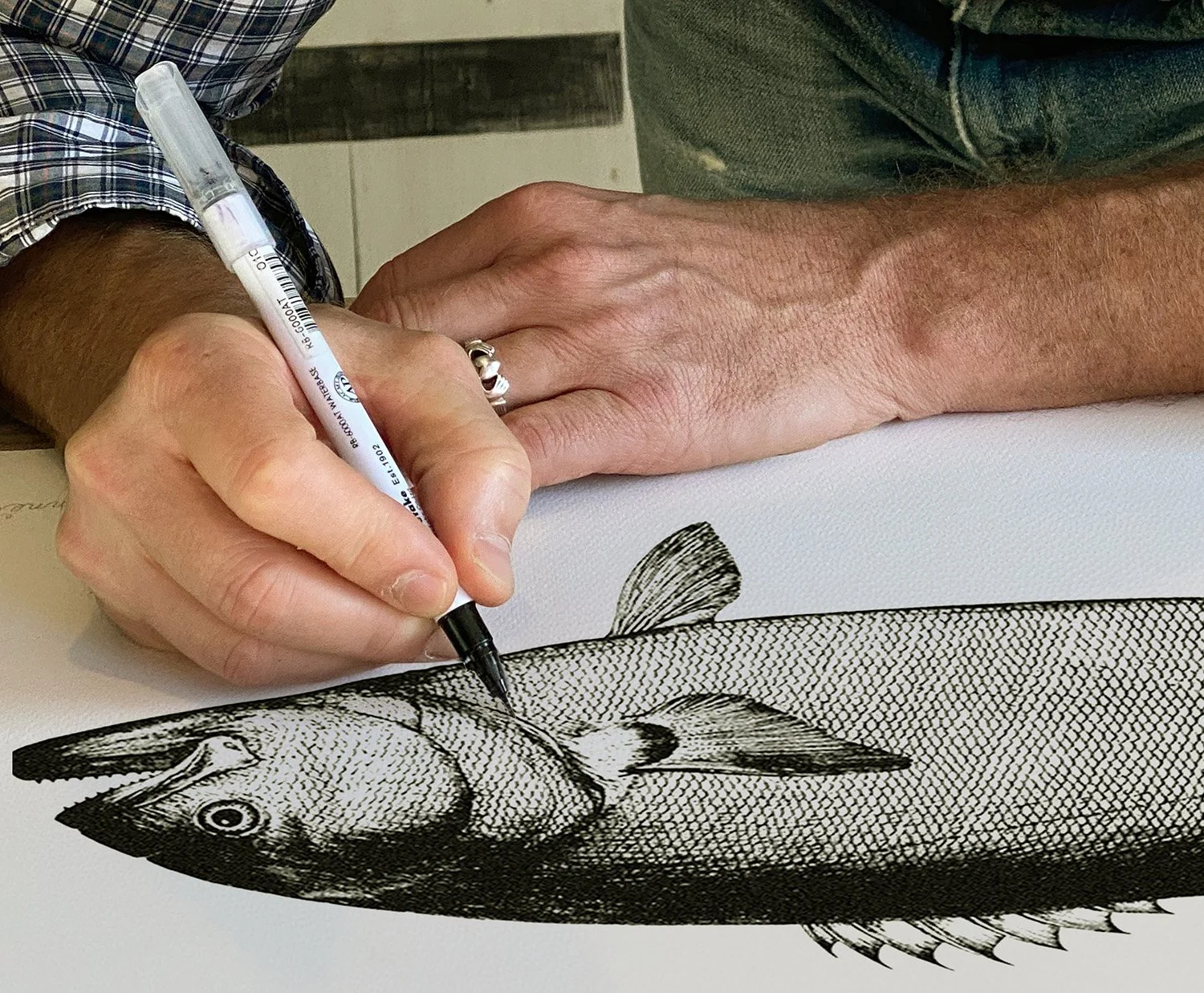 The hand of Ken Murphy drawing the Scales Bluefish illustration during brand development