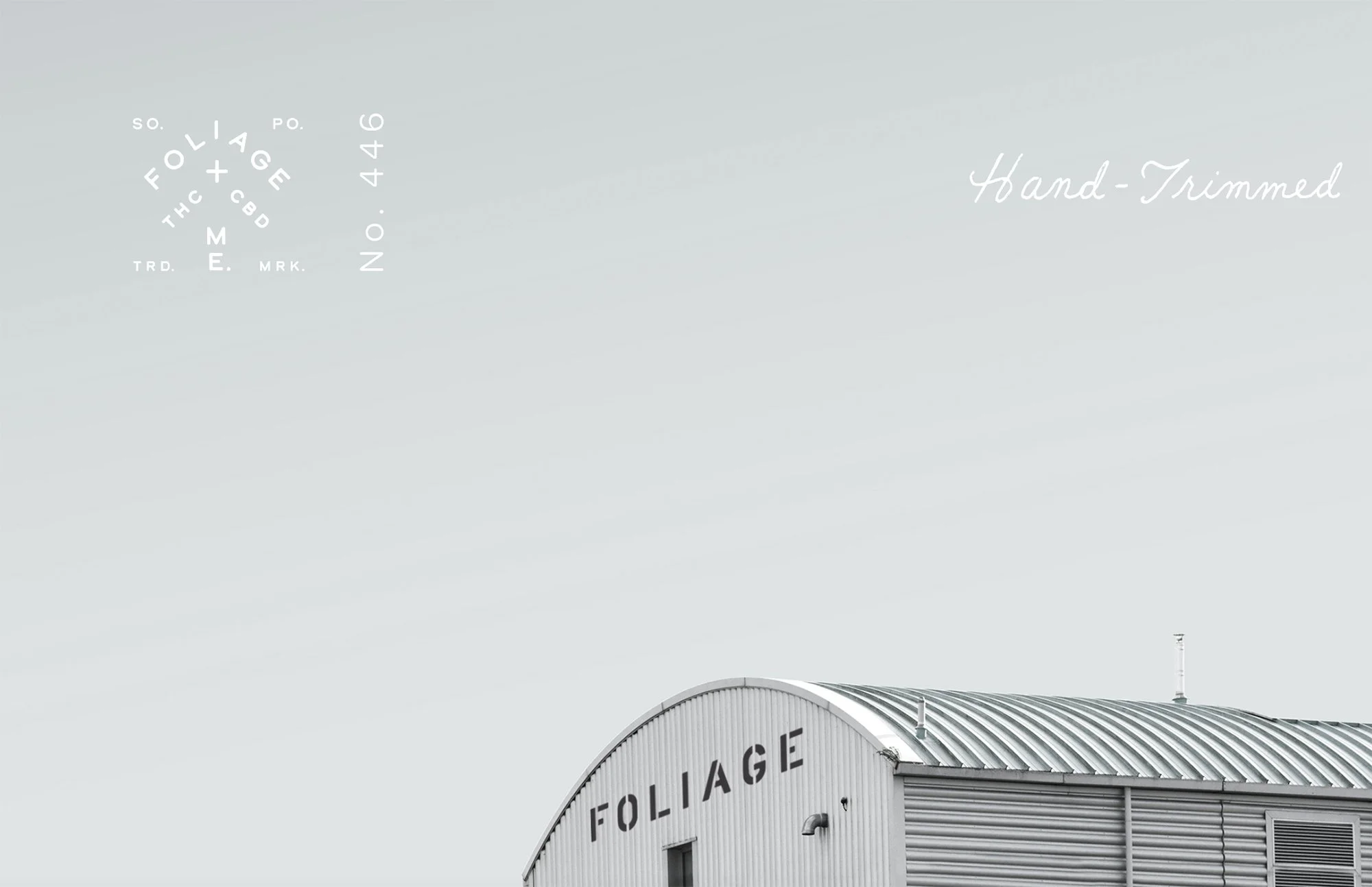 Retail signage and merchandise design for Foliage Cannabis Co. by Murphy Empire