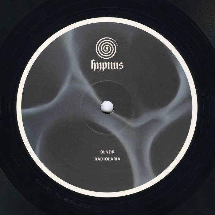 Blndr - Radiolaria