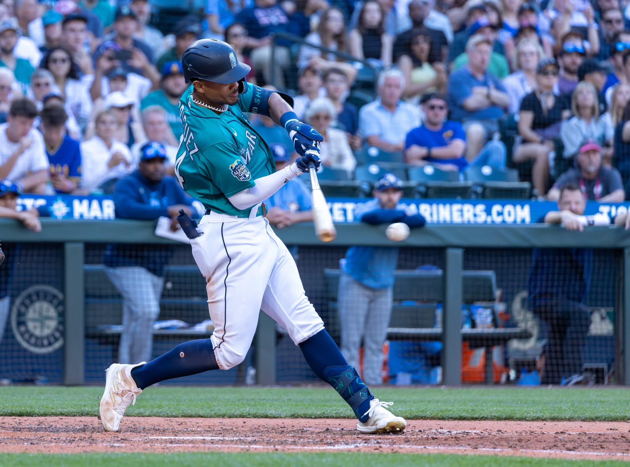 Copy of 2023-06-30- Mariners vs Rays24.jpg