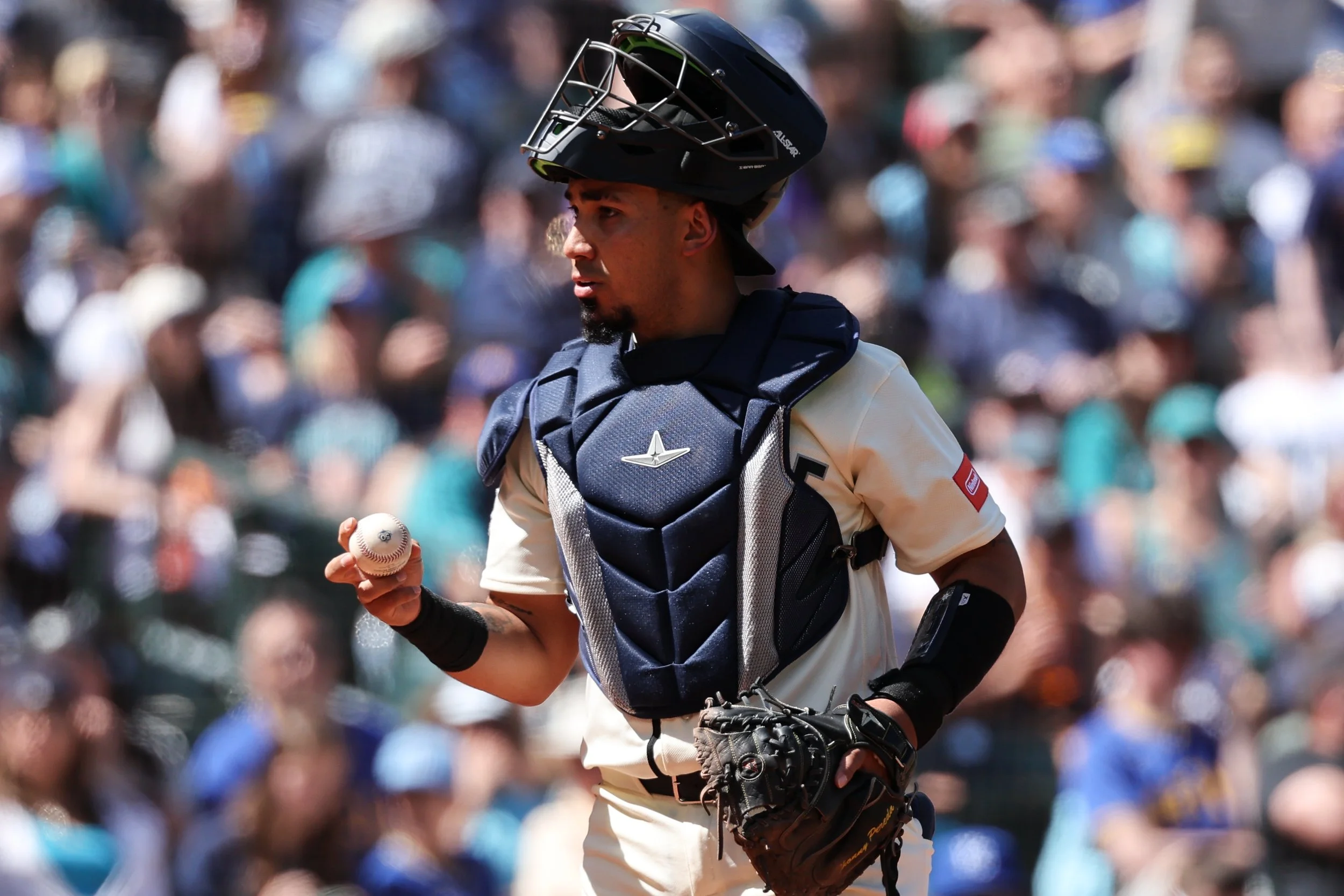 Jhonny Pereda Feels at Home With Mariners, Helping Provide Depth at Catcher