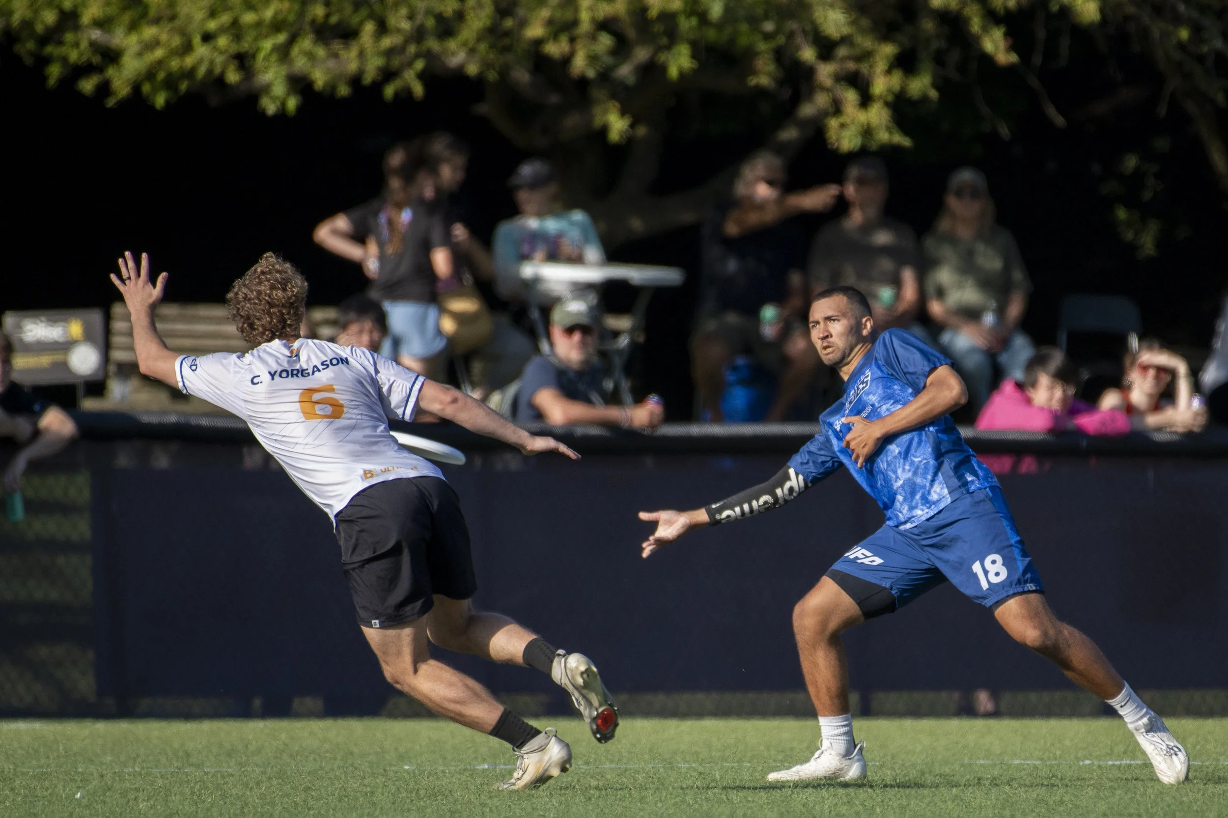 Seattle Cascades End 2026 Playoff Campaign With 22-20 Loss to Salt Lake Shred