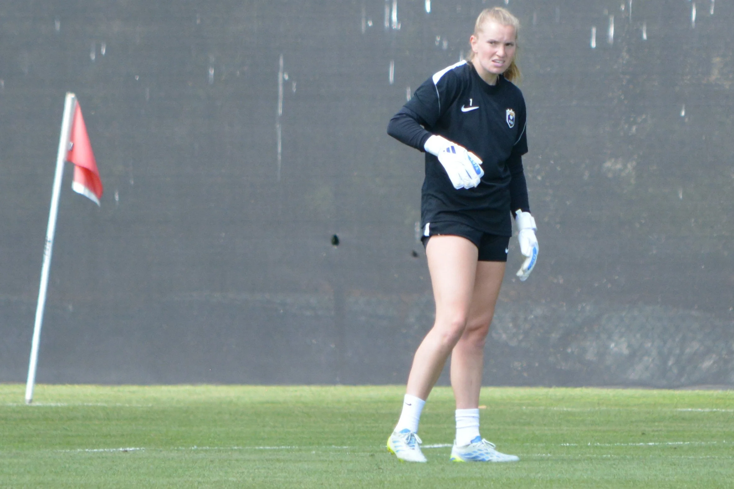 08122026_REIGNTRAINING_HAMAKER (8).JPG
