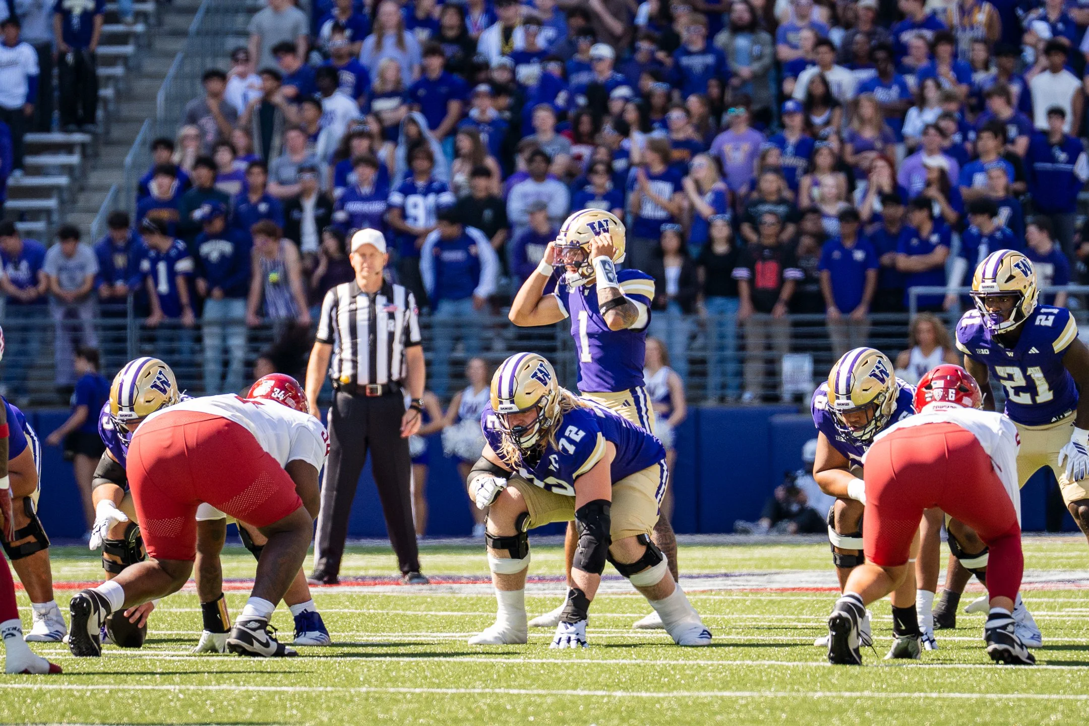 apple cup-9.jpg