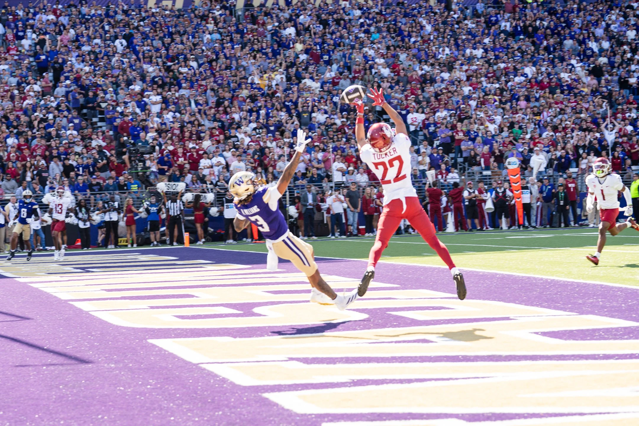 apple cup-13.jpg