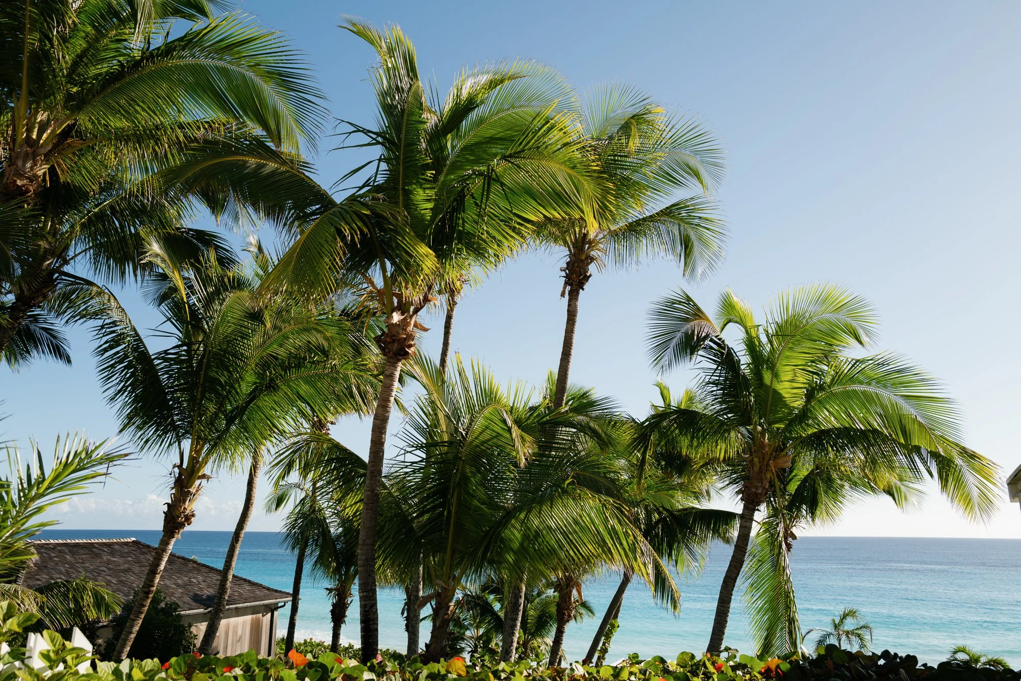 lauren portfolio-2.jpg