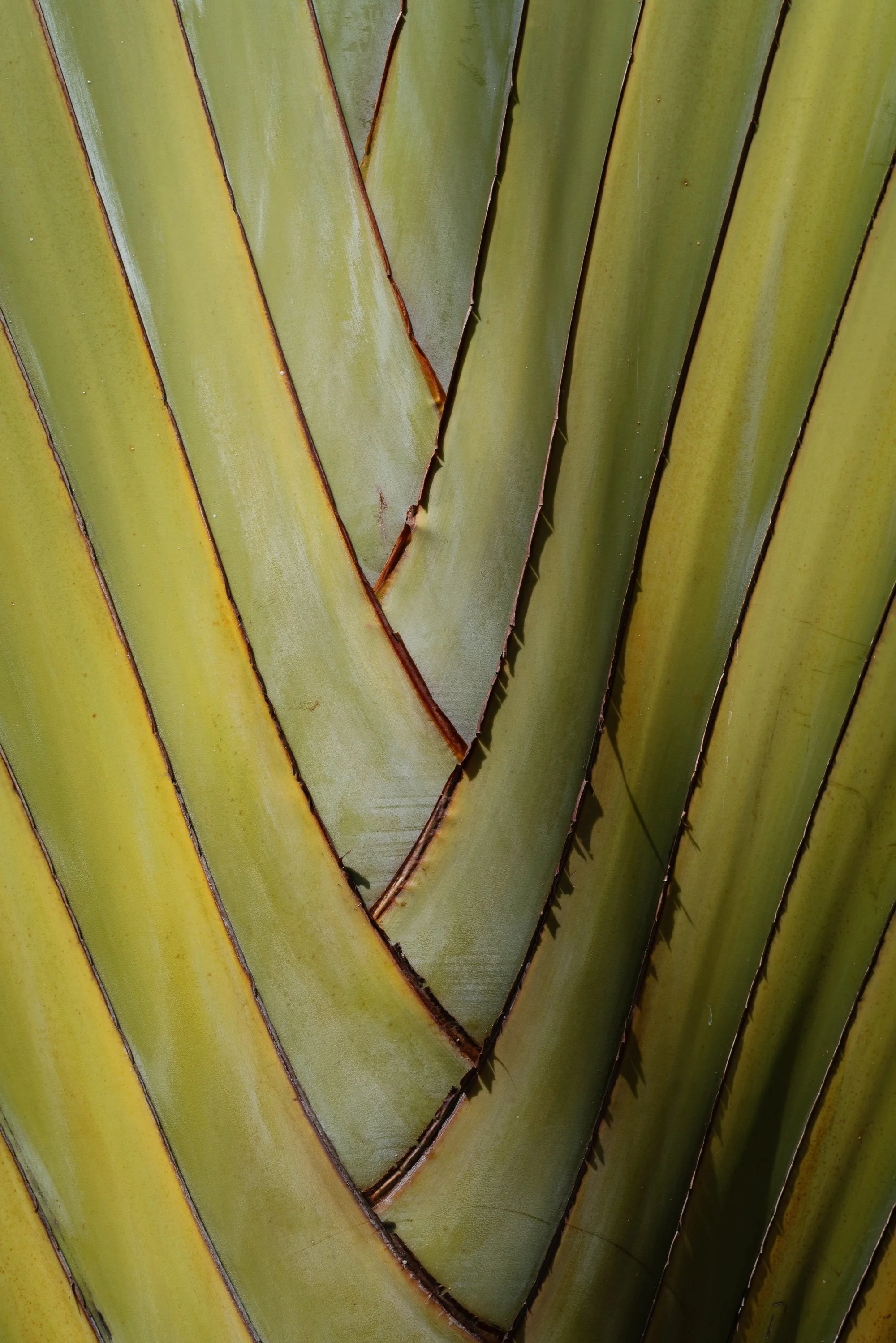 mexico wedding-jake anderson-123.jpg