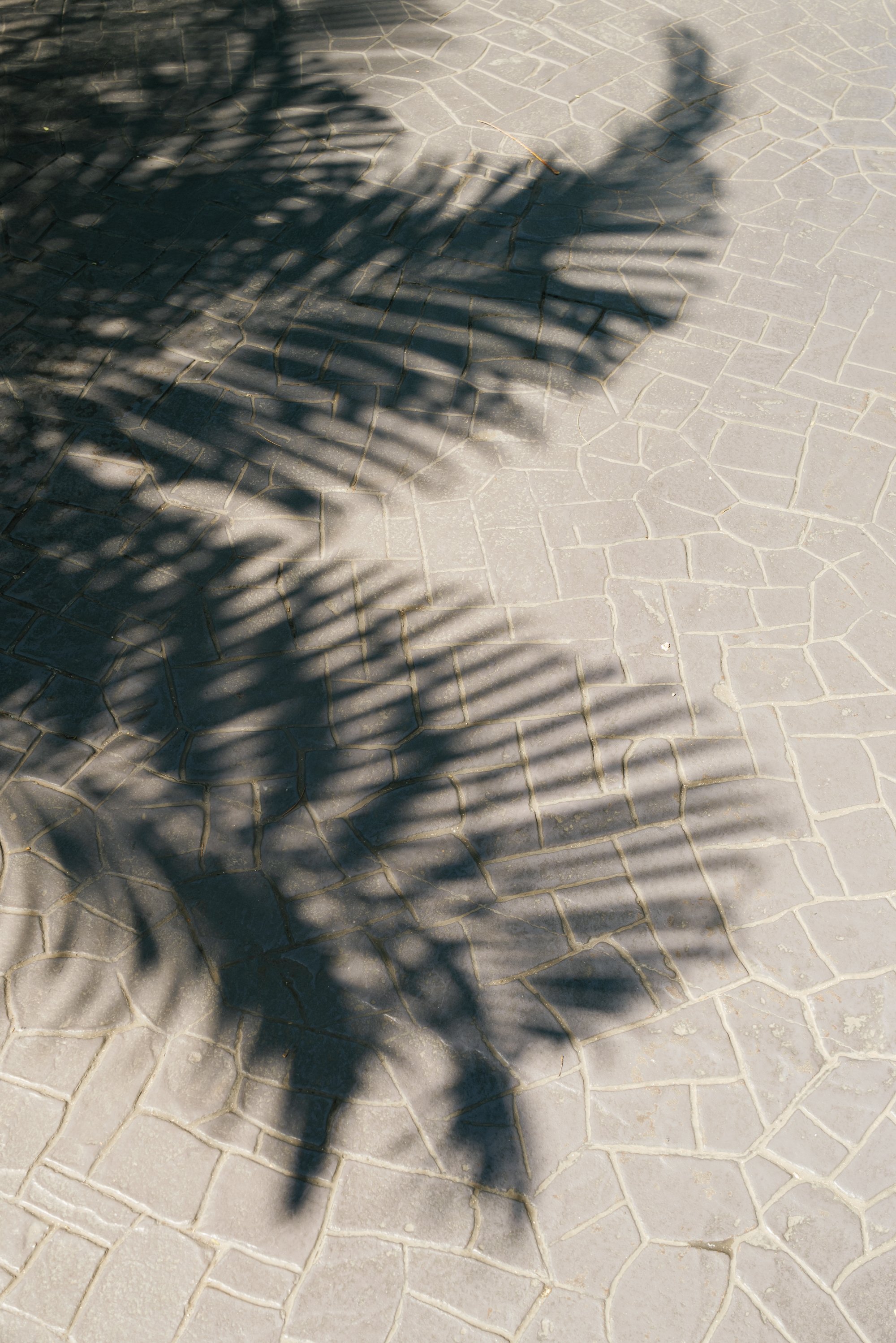 mexico wedding-jake anderson-118.jpg