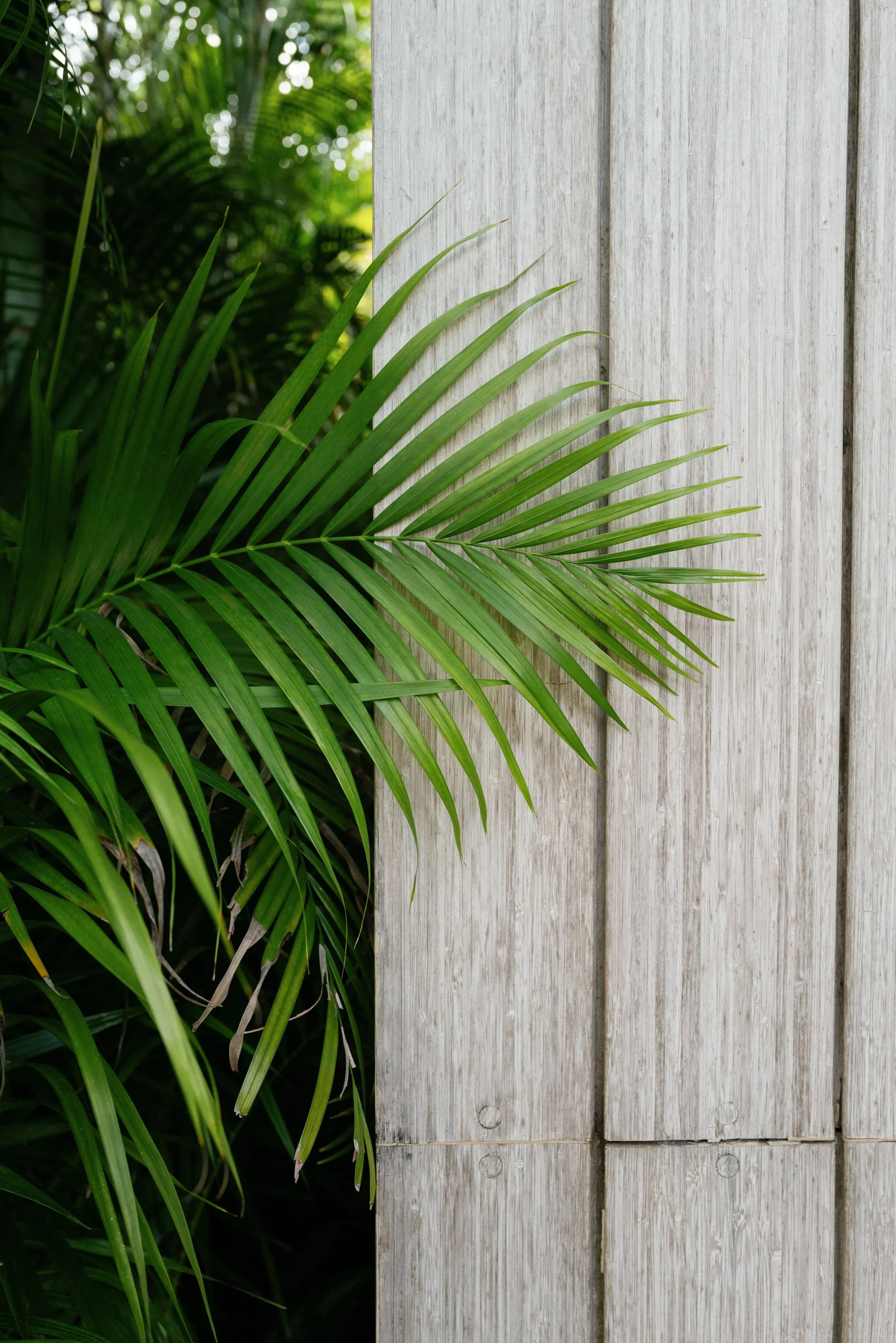 mexico wedding-jake anderson-7.jpg