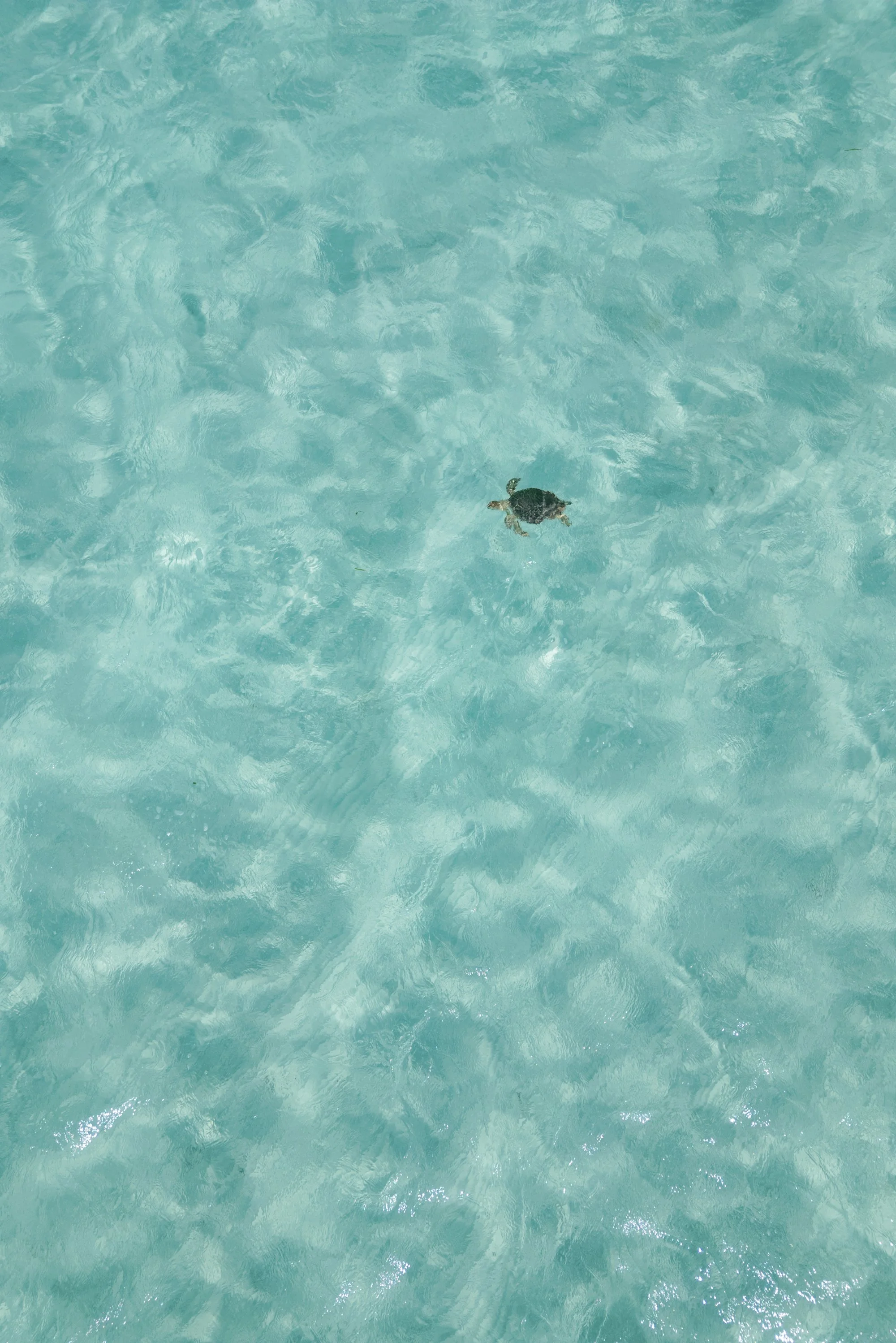 other side resort wedding-jake anderson-27.jpg