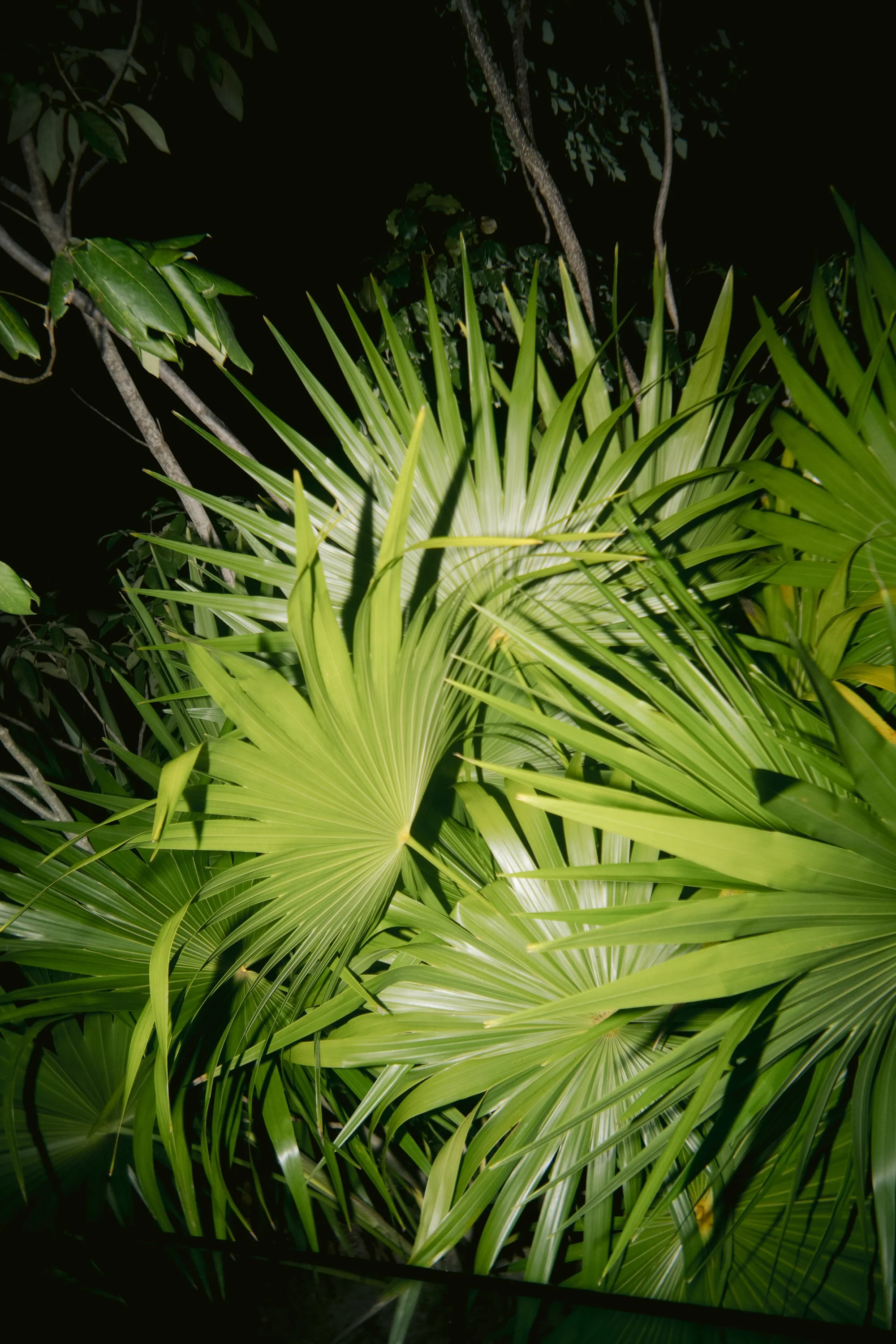 mexico wedding-jake anderson-231.jpg