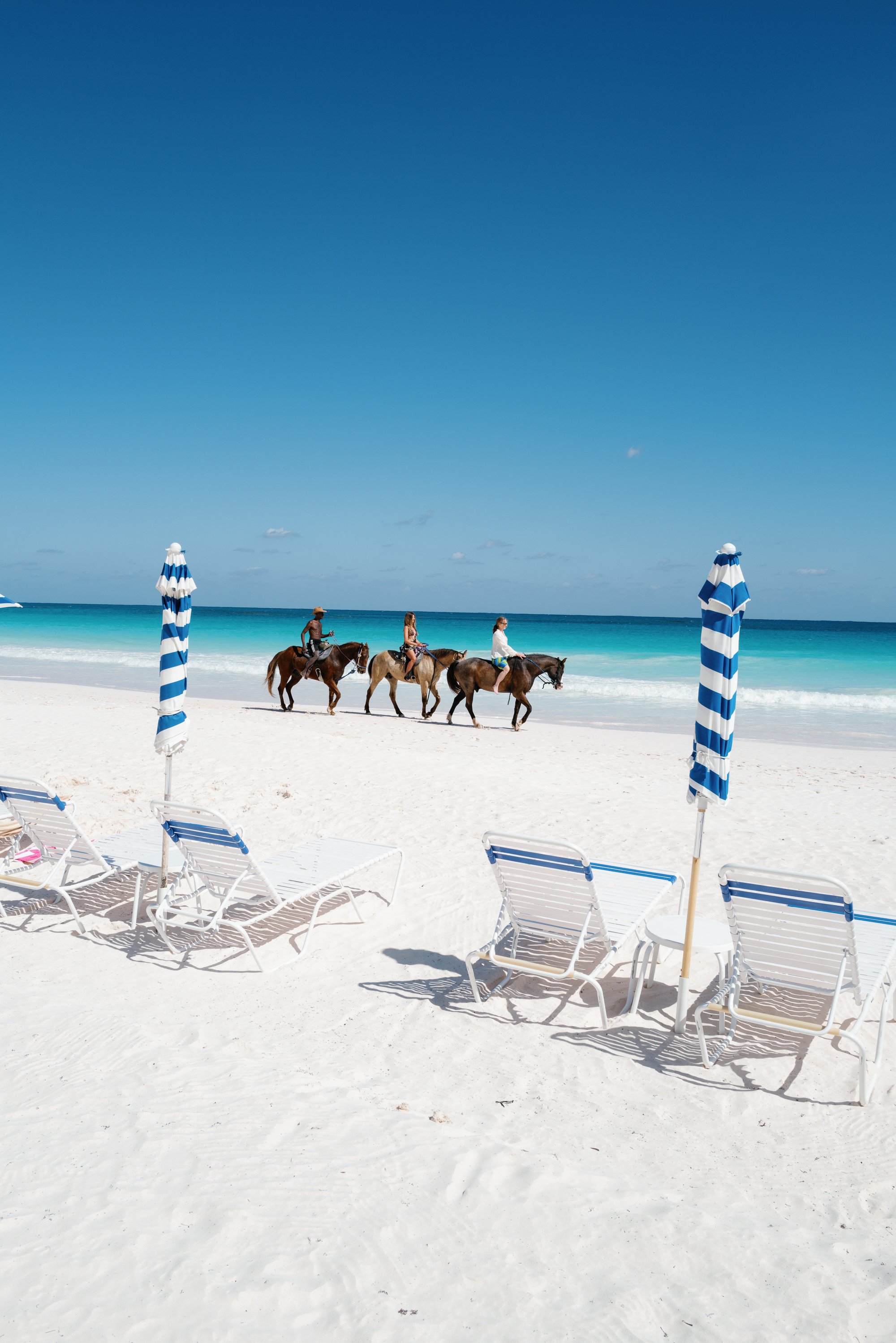 lauren portfolio-19.jpg