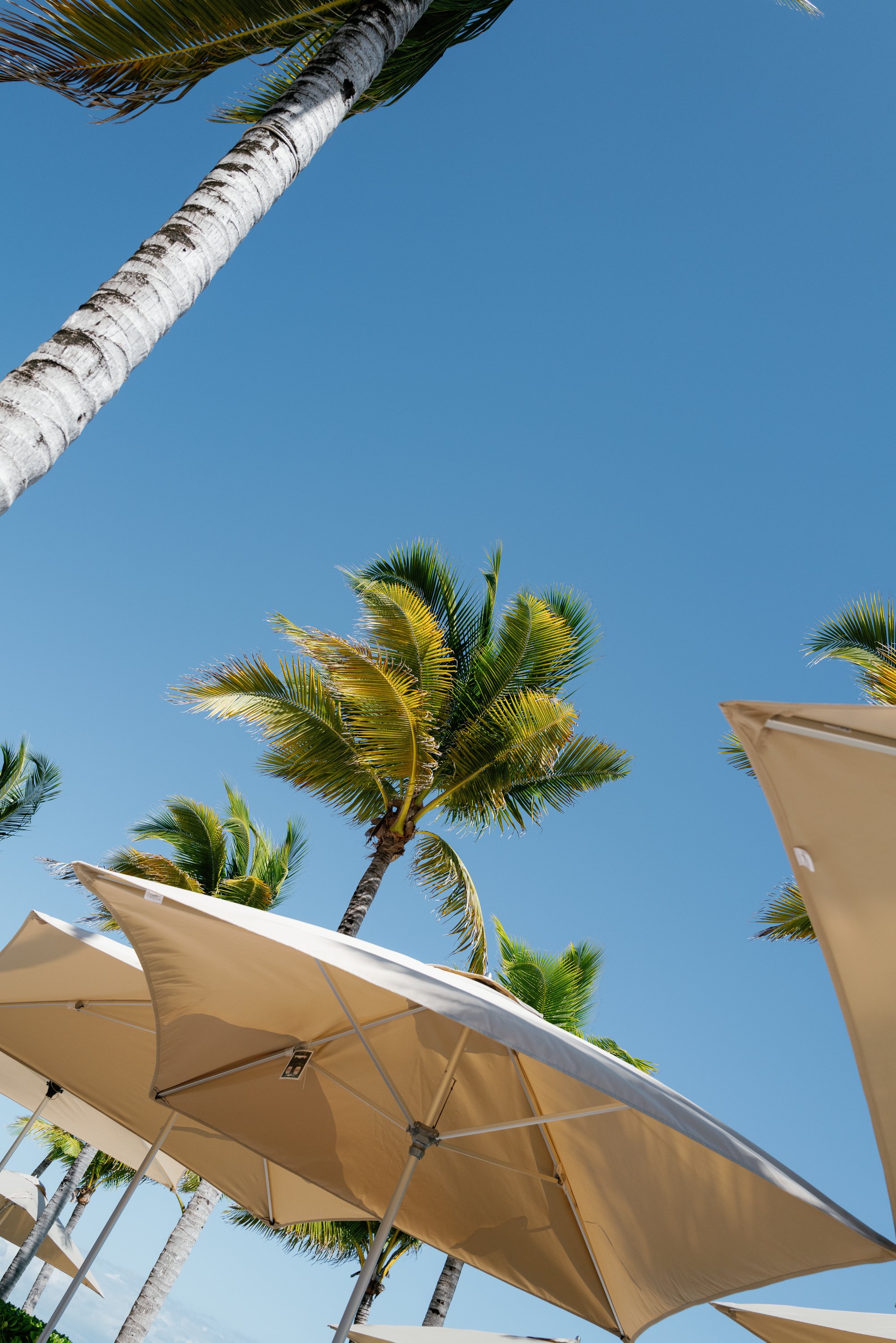 kavita ben wedding portfolio.jpg