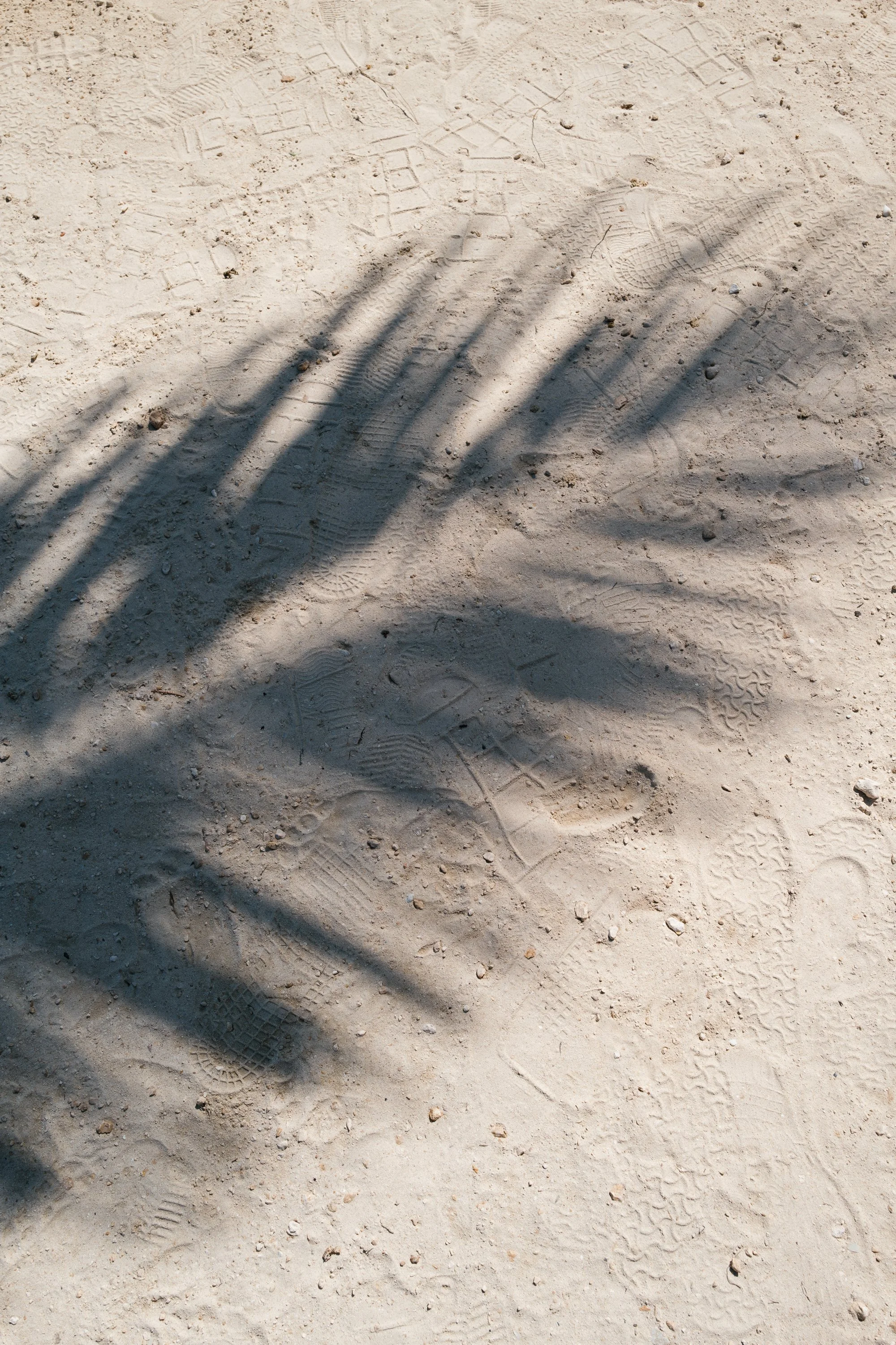 mexico wedding-jake anderson-74.jpg