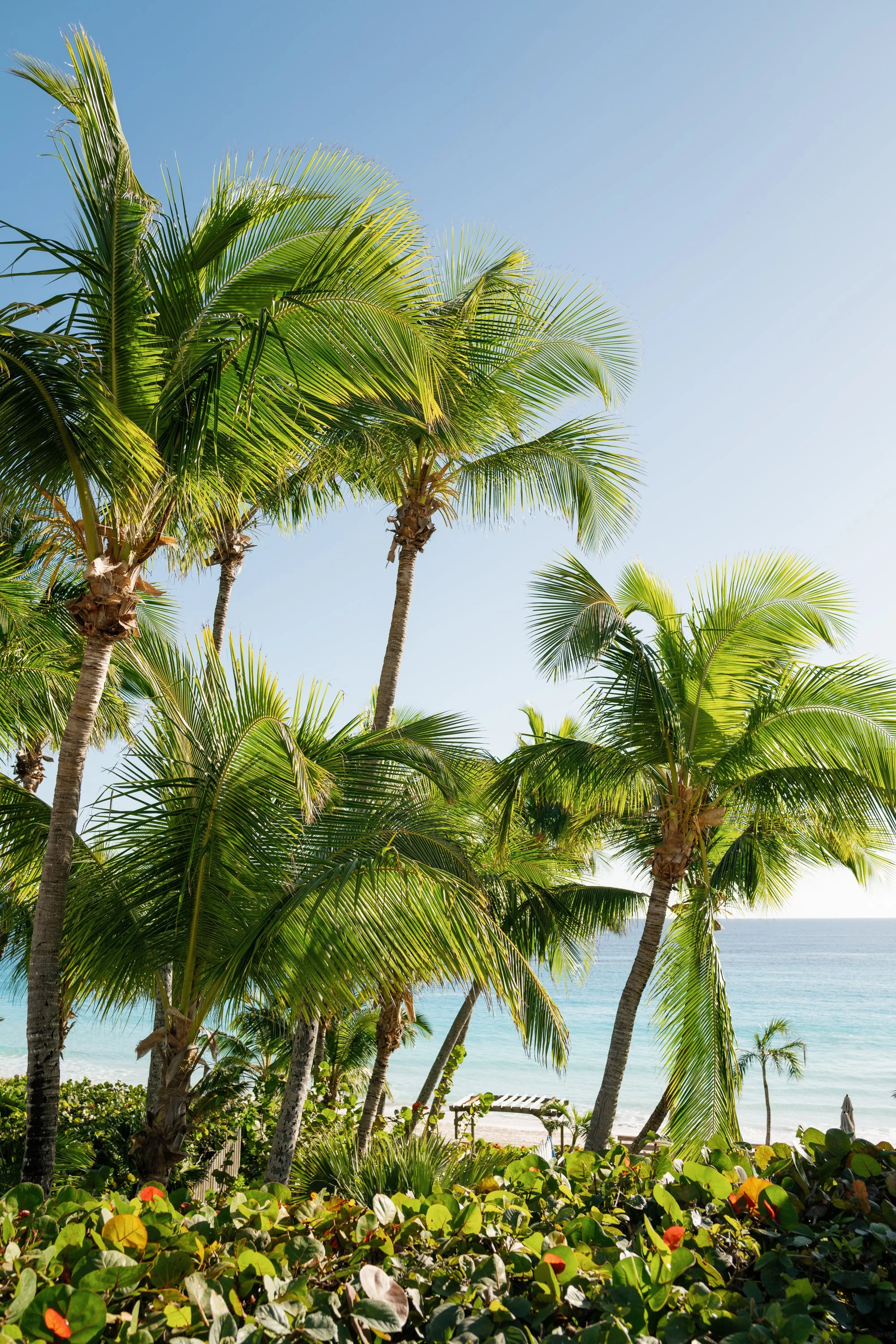 other side resort wedding-jake anderson-6.jpg