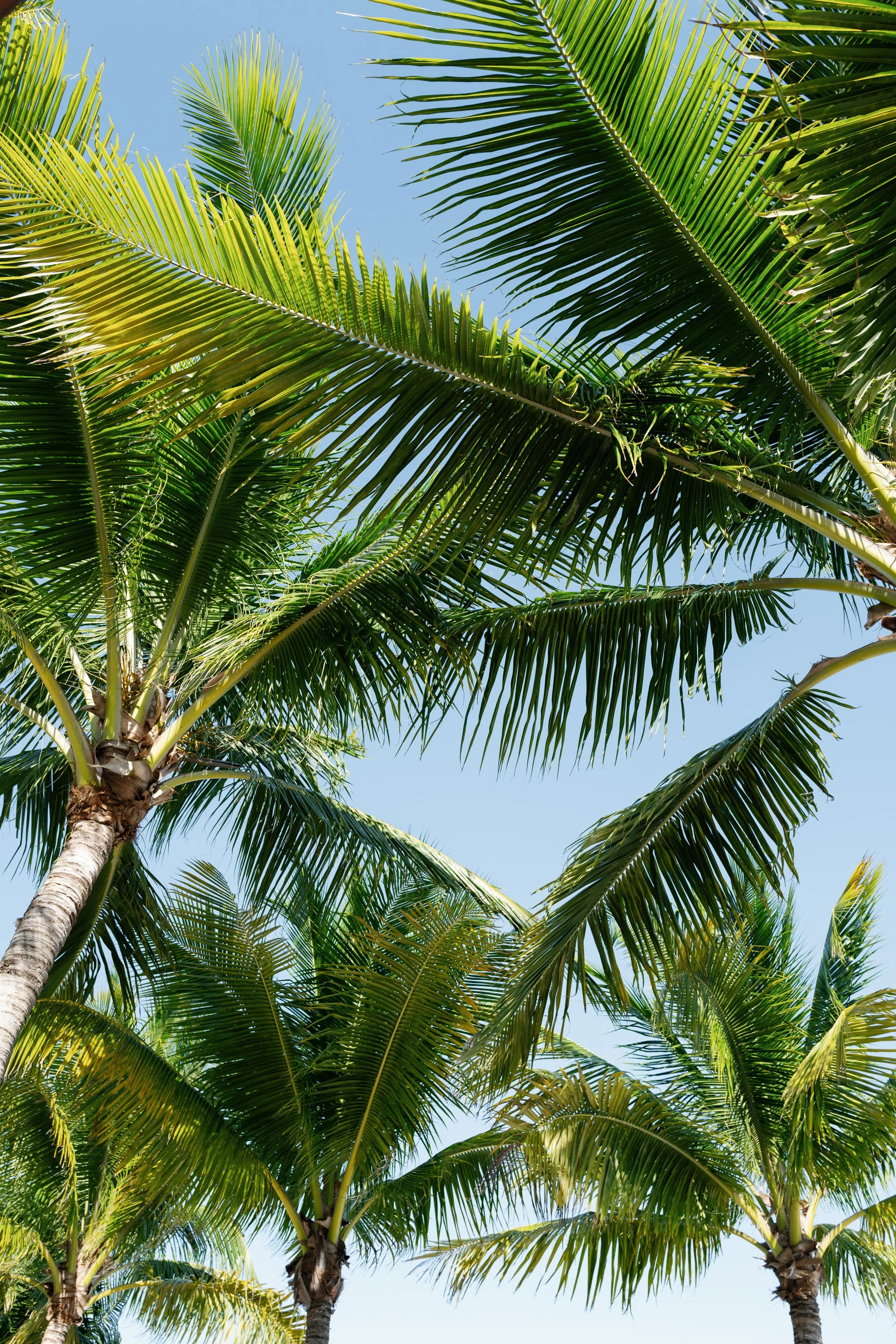 mexico wedding-jake anderson-3.jpg