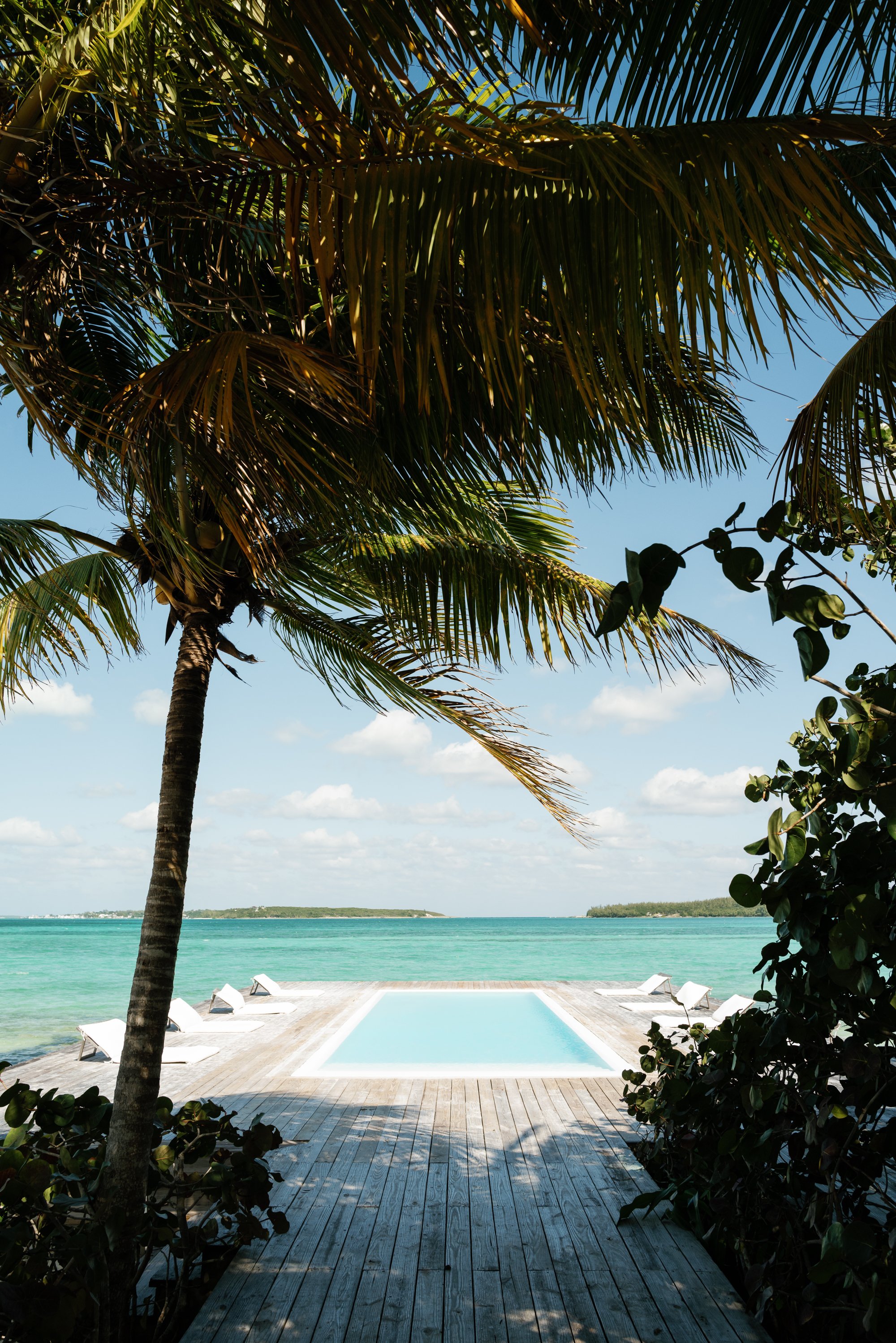 lauren portfolio-6.jpg