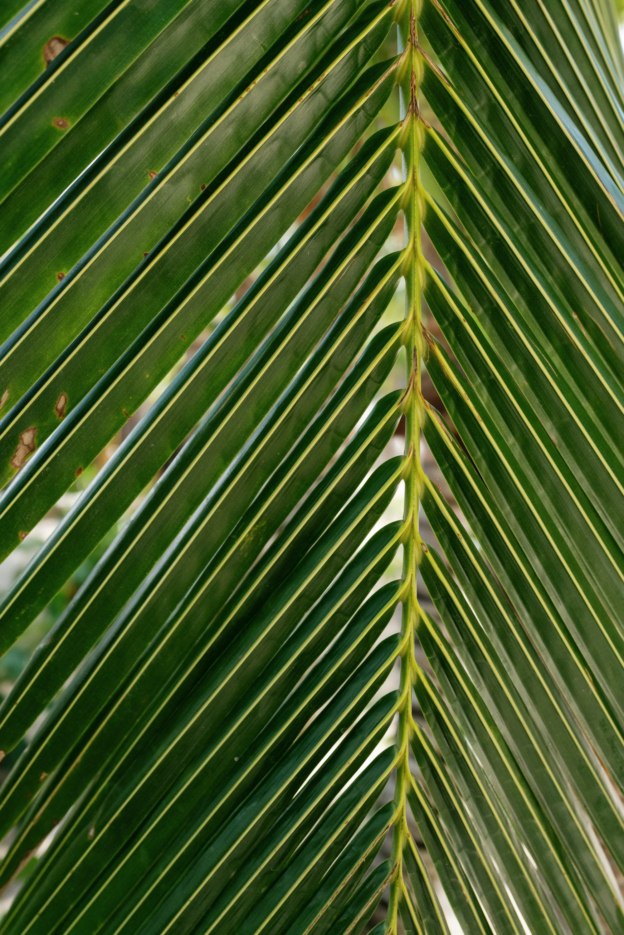 other side resort wedding-jake anderson-28.jpg