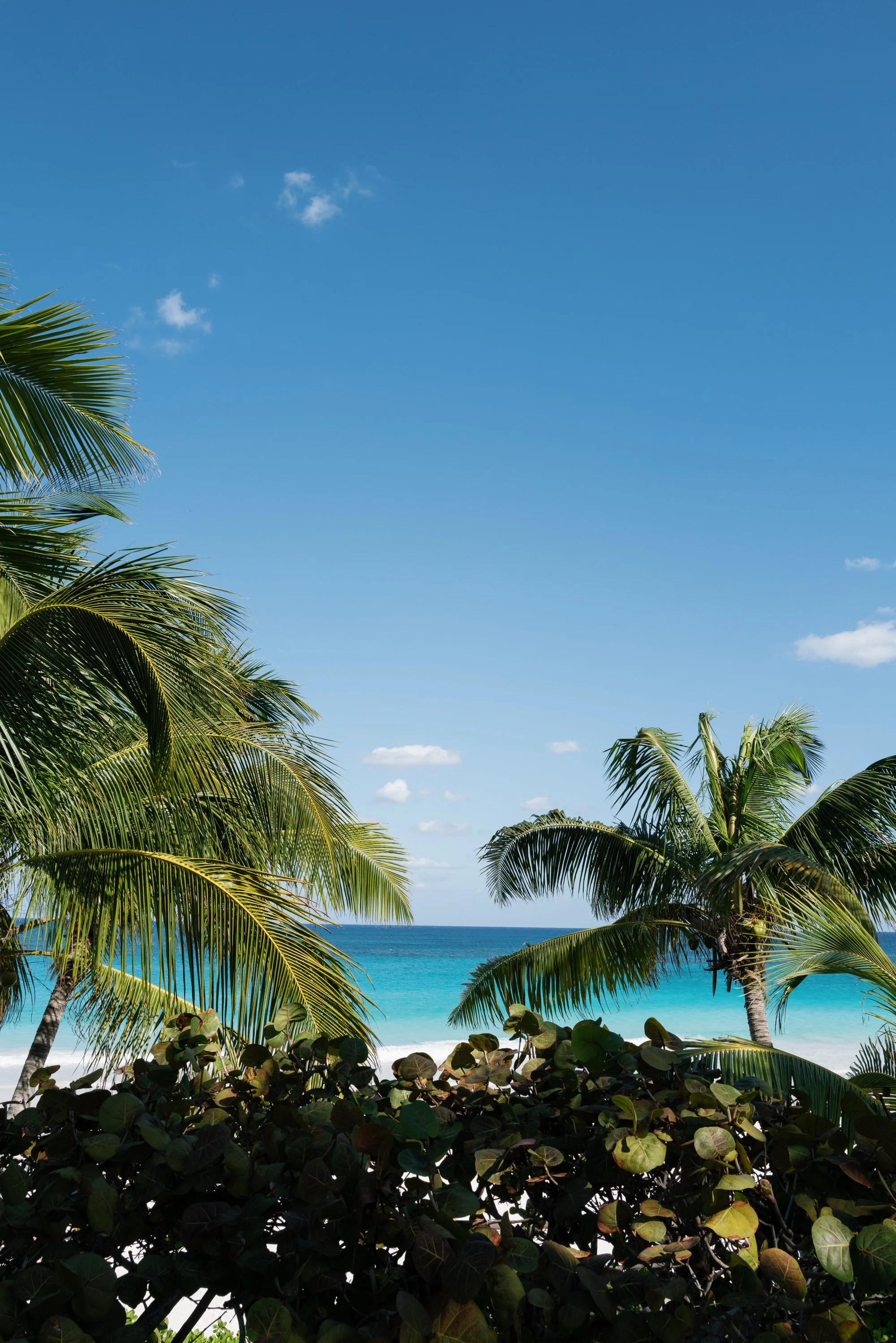 other side resort wedding-jake anderson-158.jpg