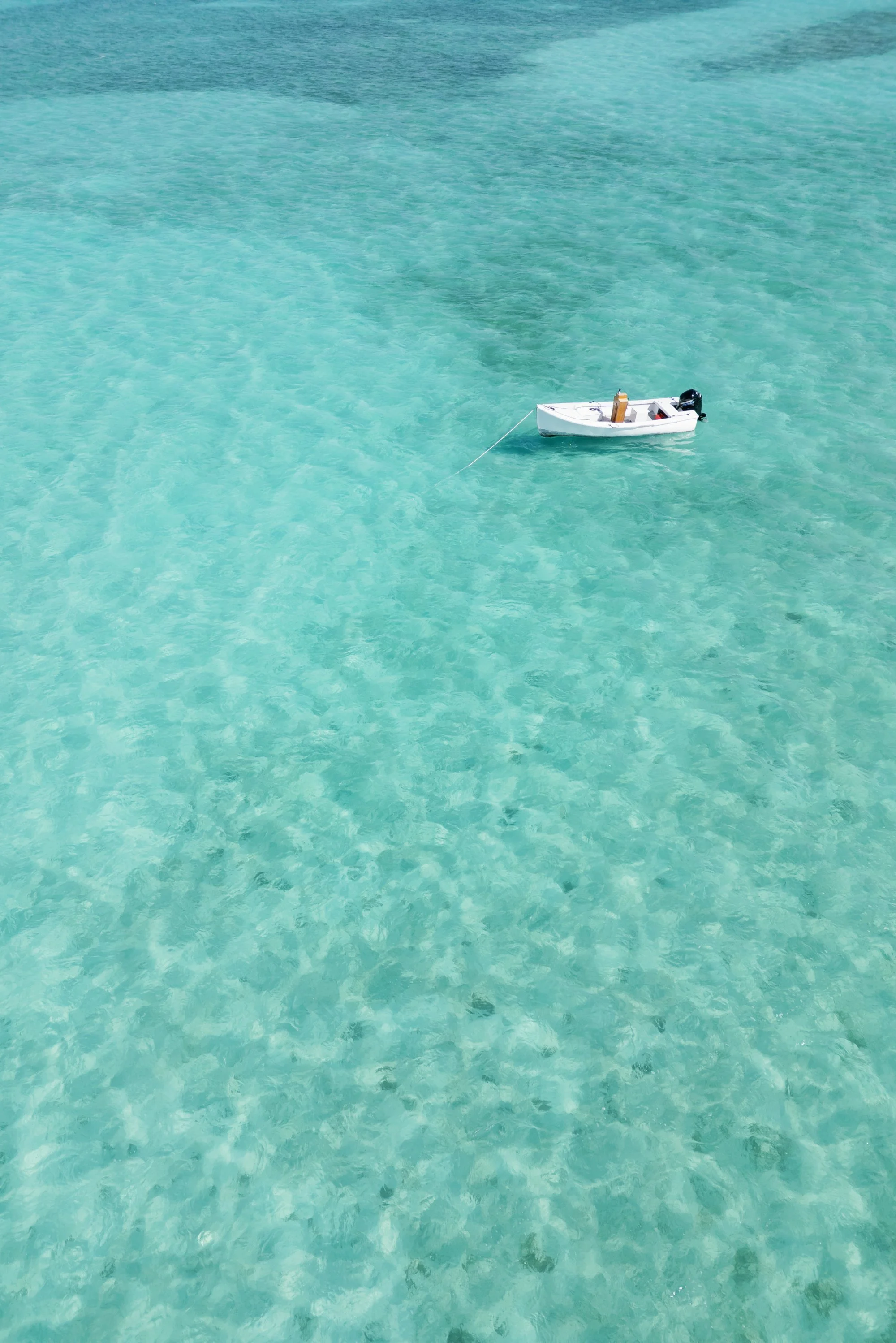 lauren portfolio-7.jpg