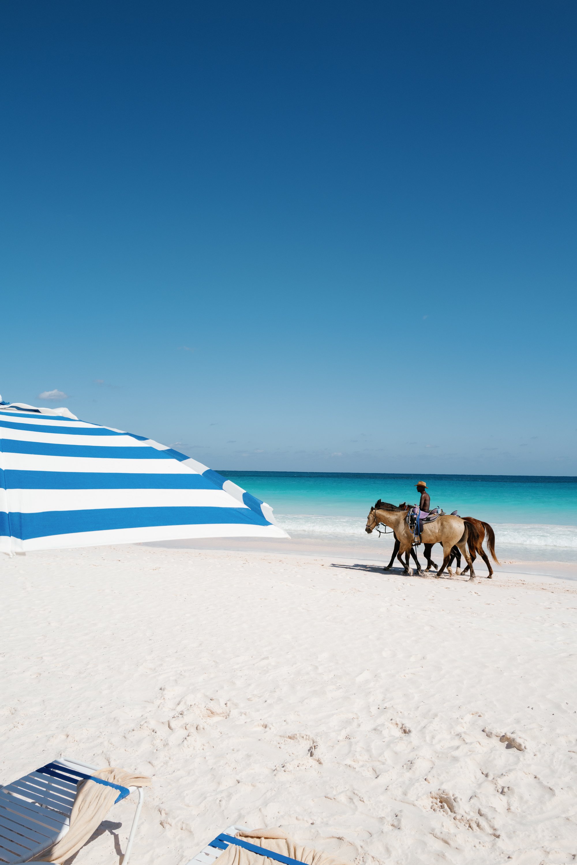 lauren portfolio-22.jpg