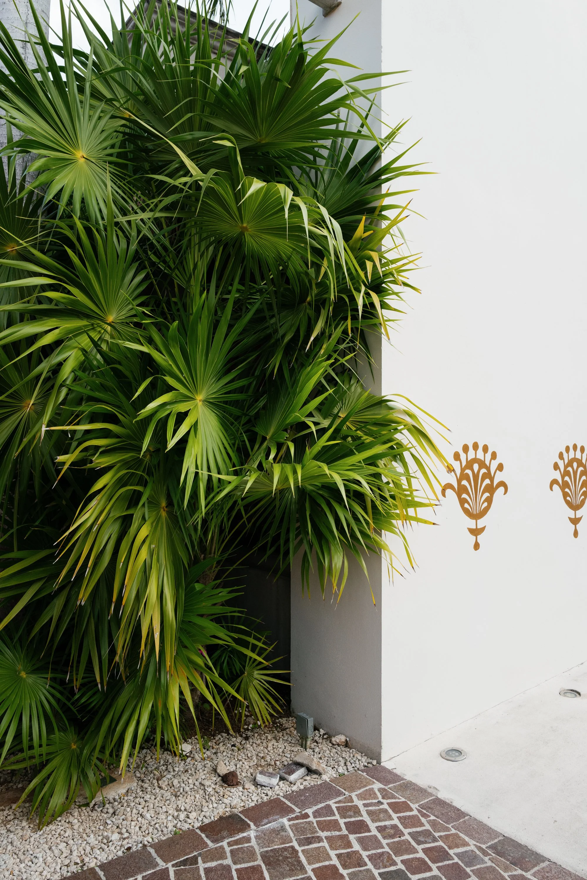 mexico wedding-jake anderson-6.jpg