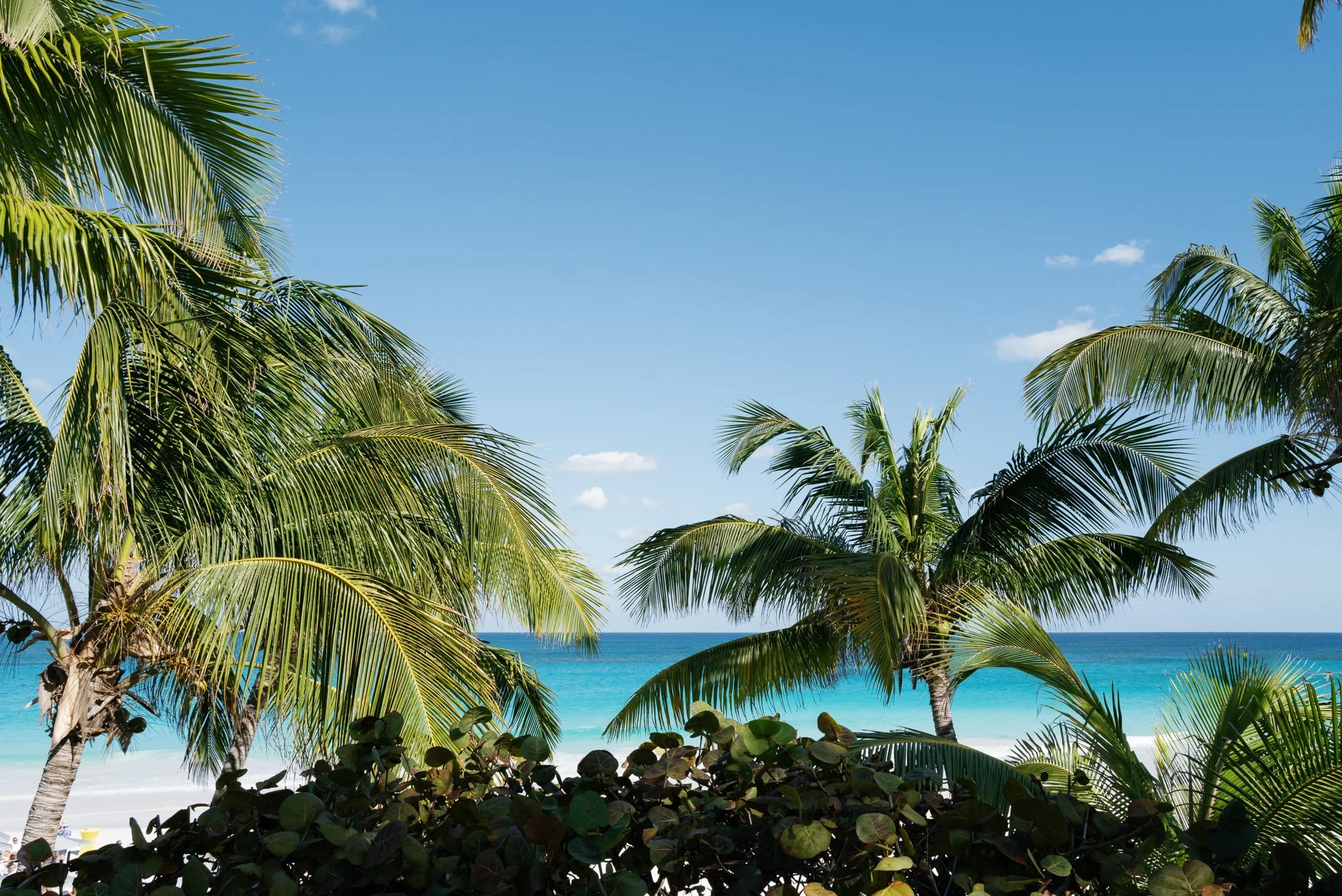 other side resort wedding-jake anderson-157.jpg