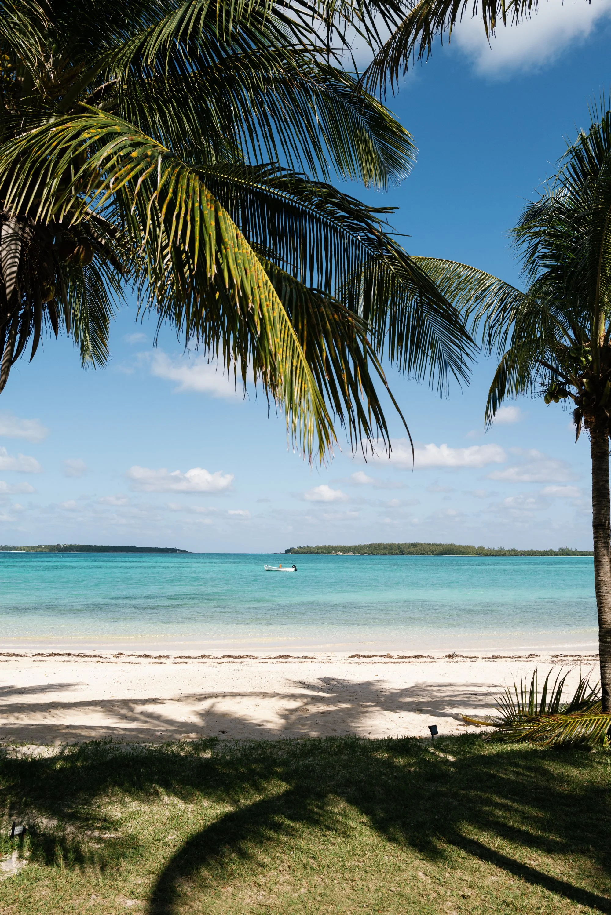 lauren portfolio-5.jpg