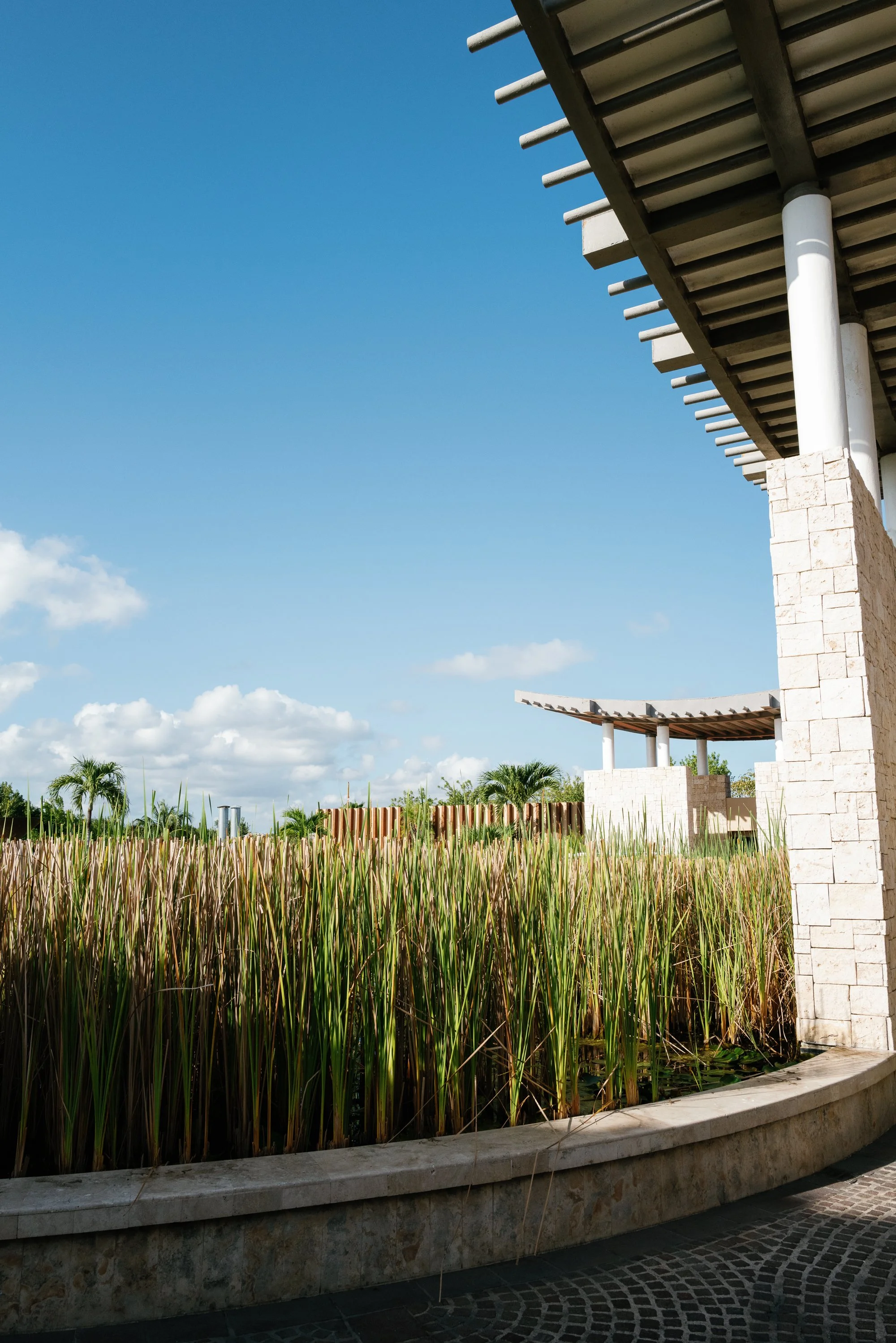 mexico wedding-jake anderson-154.jpg