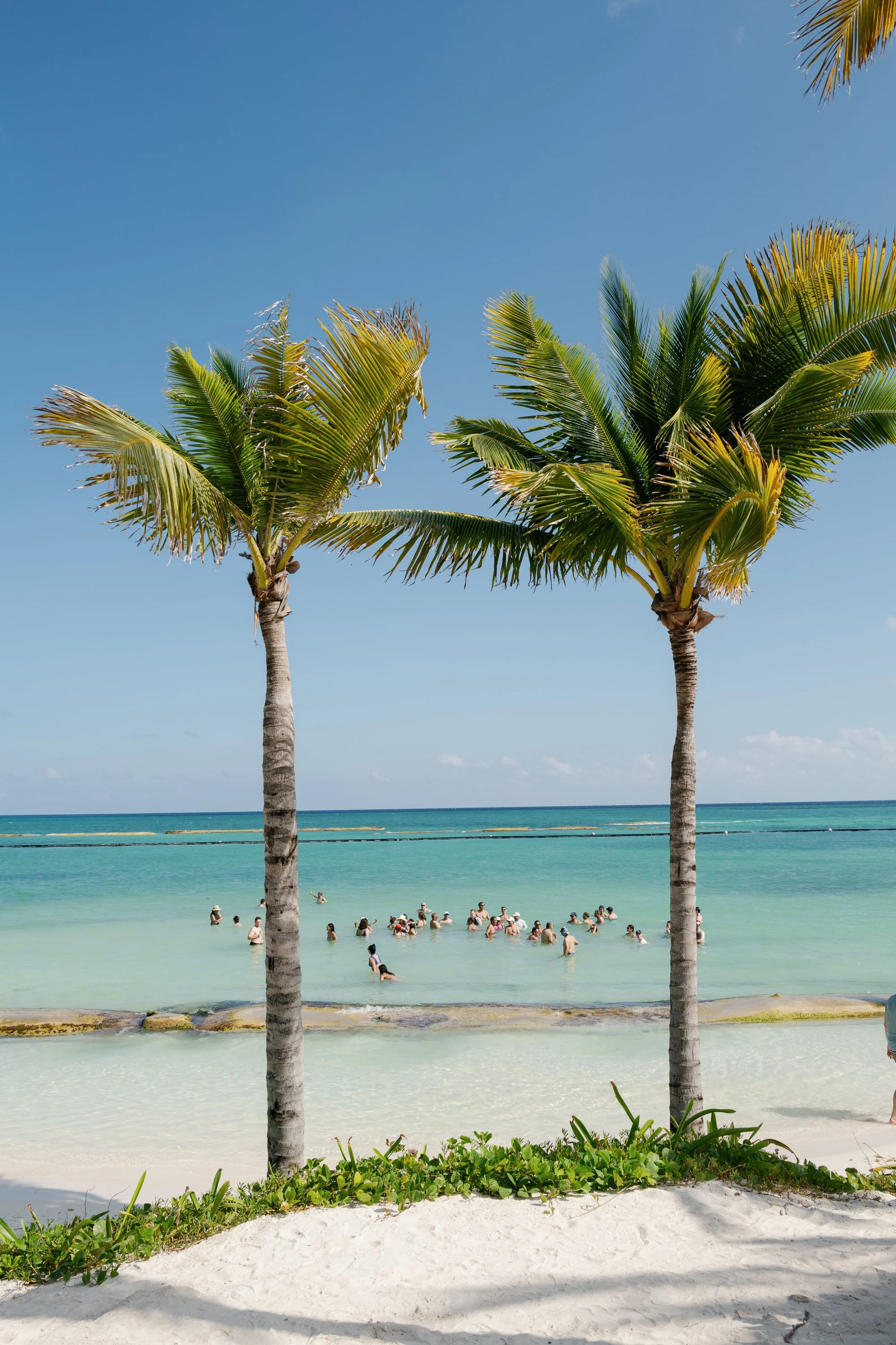 kavita ben wedding portfolio-10.jpg