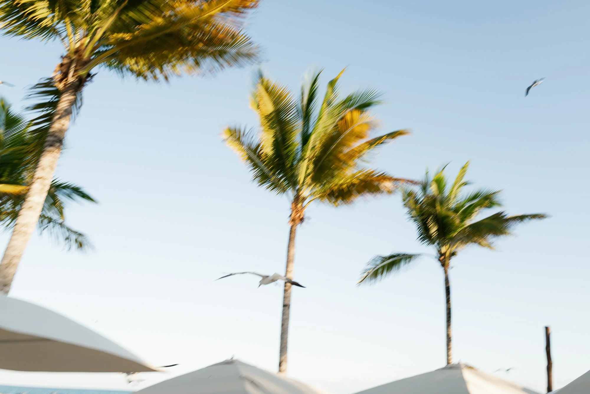 mexico wedding-jake anderson-13.jpg