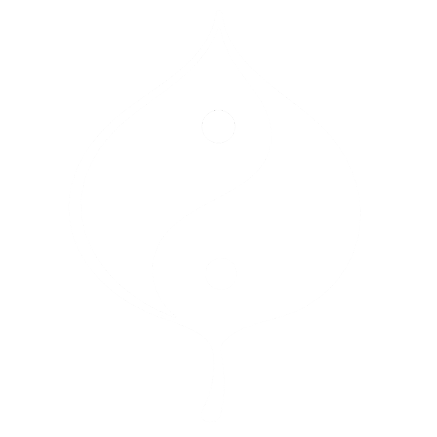 Aspen Vibrational Health