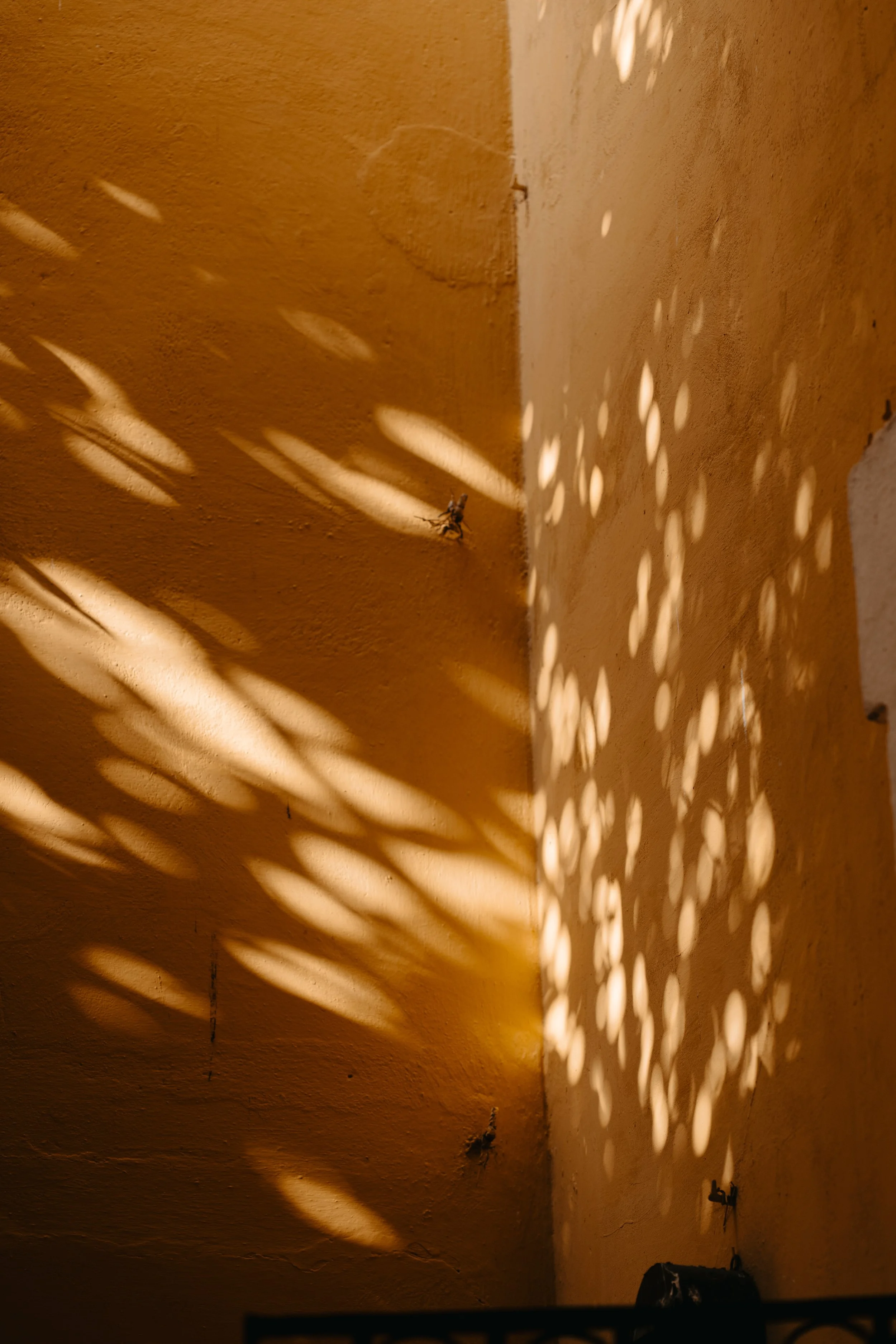 adelanto_FátimayEmilio_03-10-2026-20.jpg