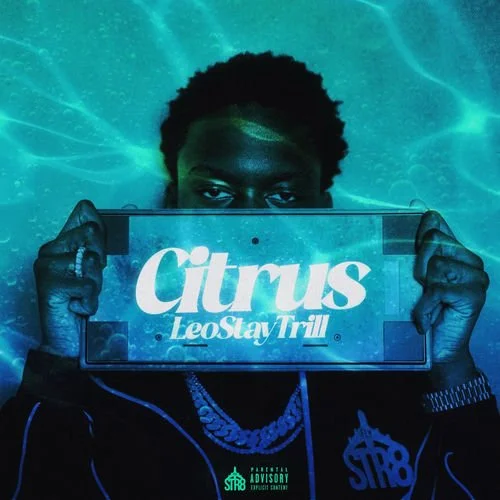 Artist: Leo Stay Trill  
Track: Citrus  
Role: Atmos Mixer