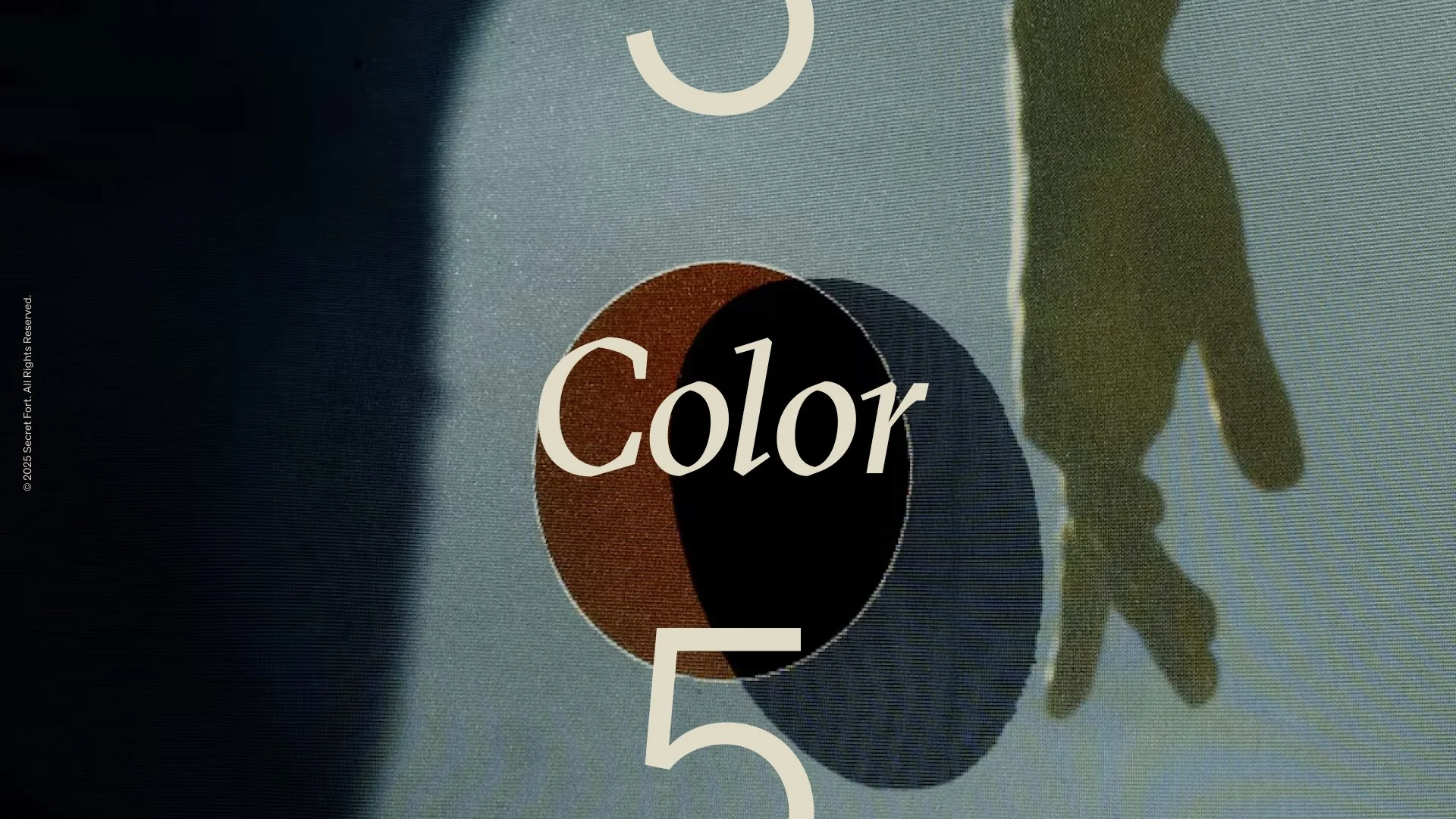 5 COLOR-5.jpg