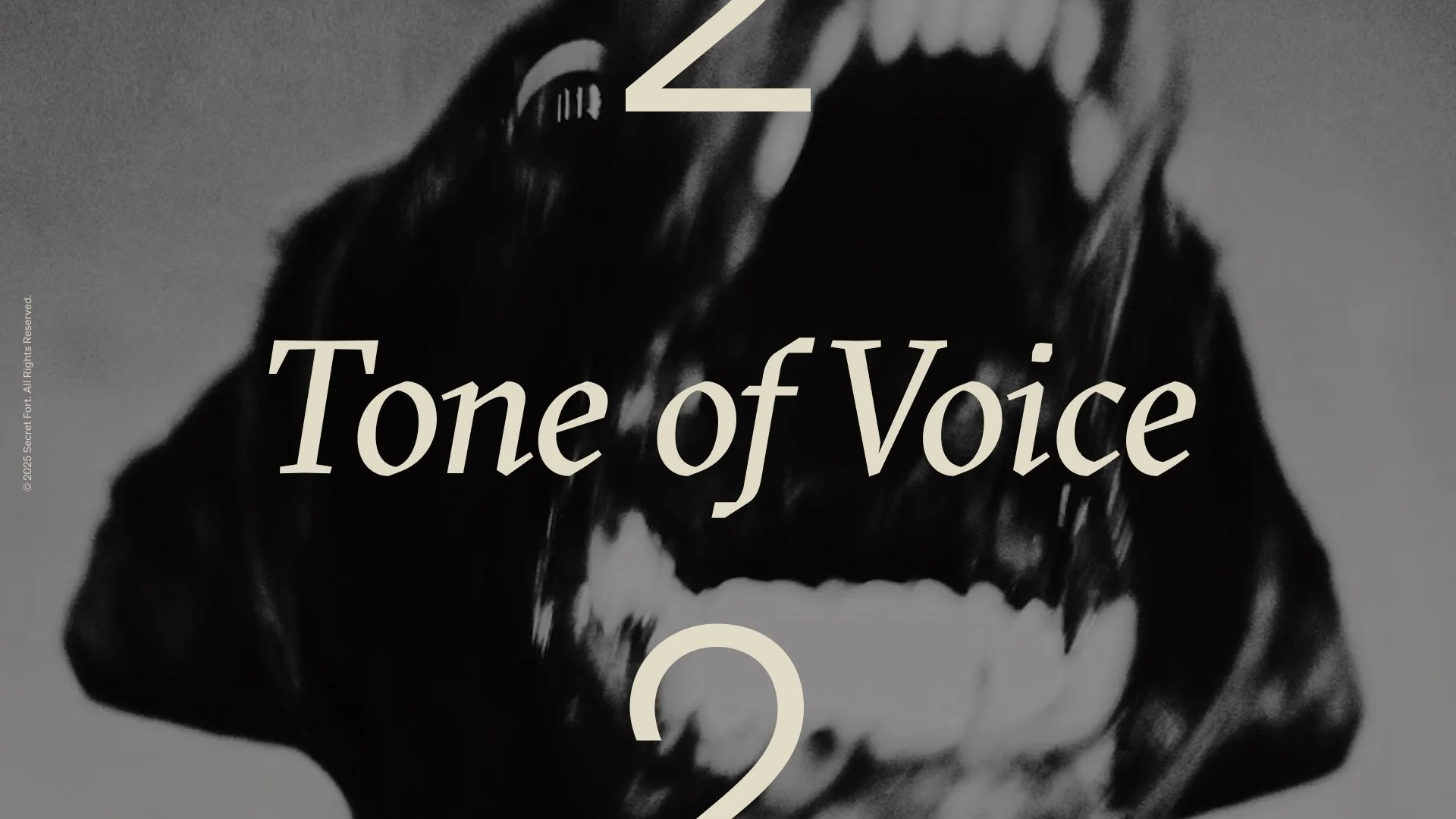 2 TONE OF VOICE-10.jpg