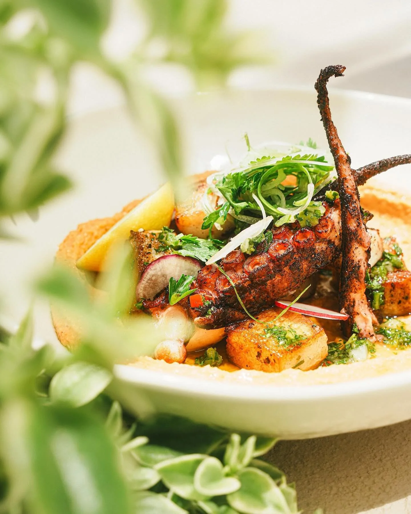 Coastal flavors meet culinary art. 

#thecoveclub #coastaldining #culinary #westpalmbeach #beach #waterfrontdining #cove #lunchanddinner
